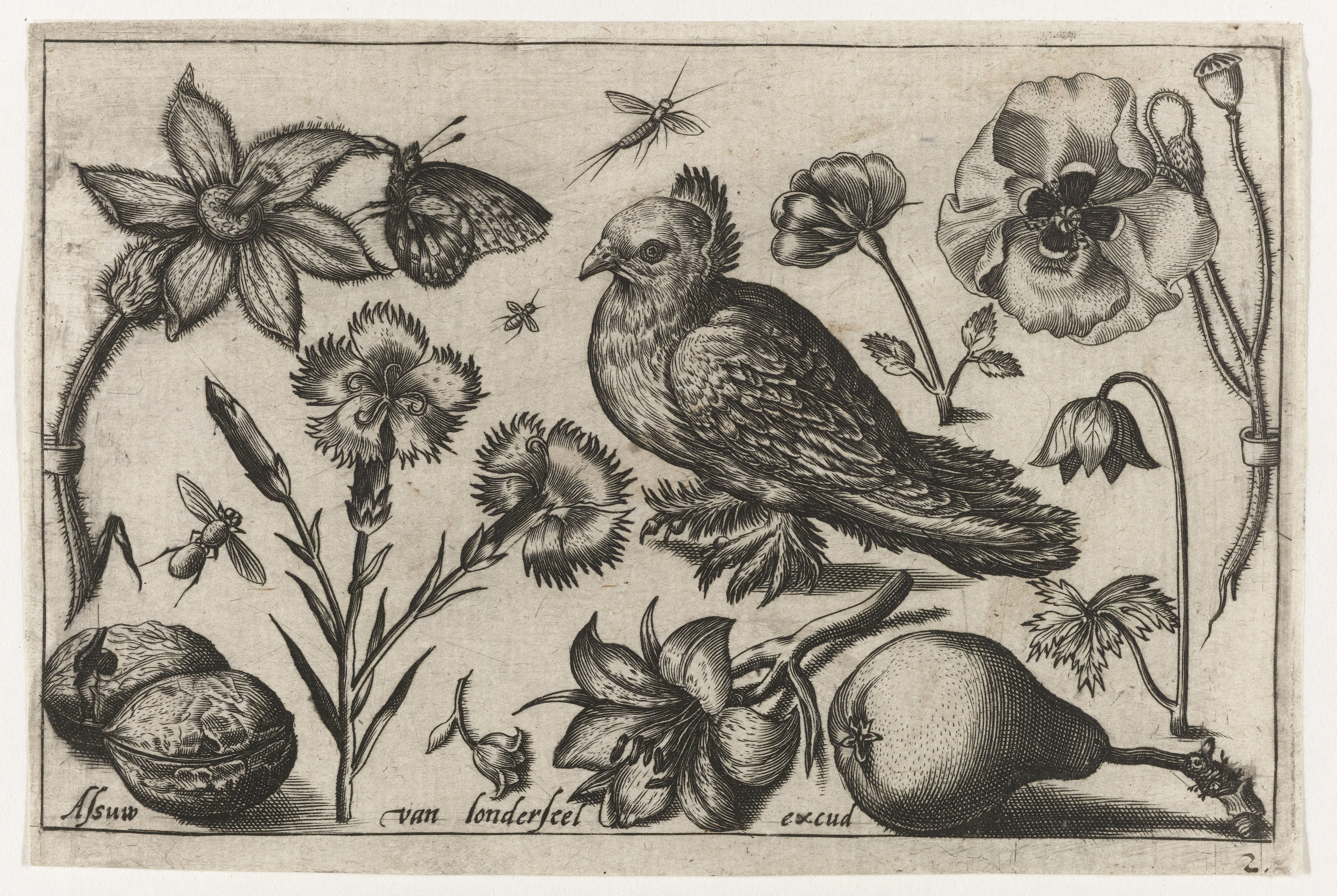 Bloemen, een peer en een duif