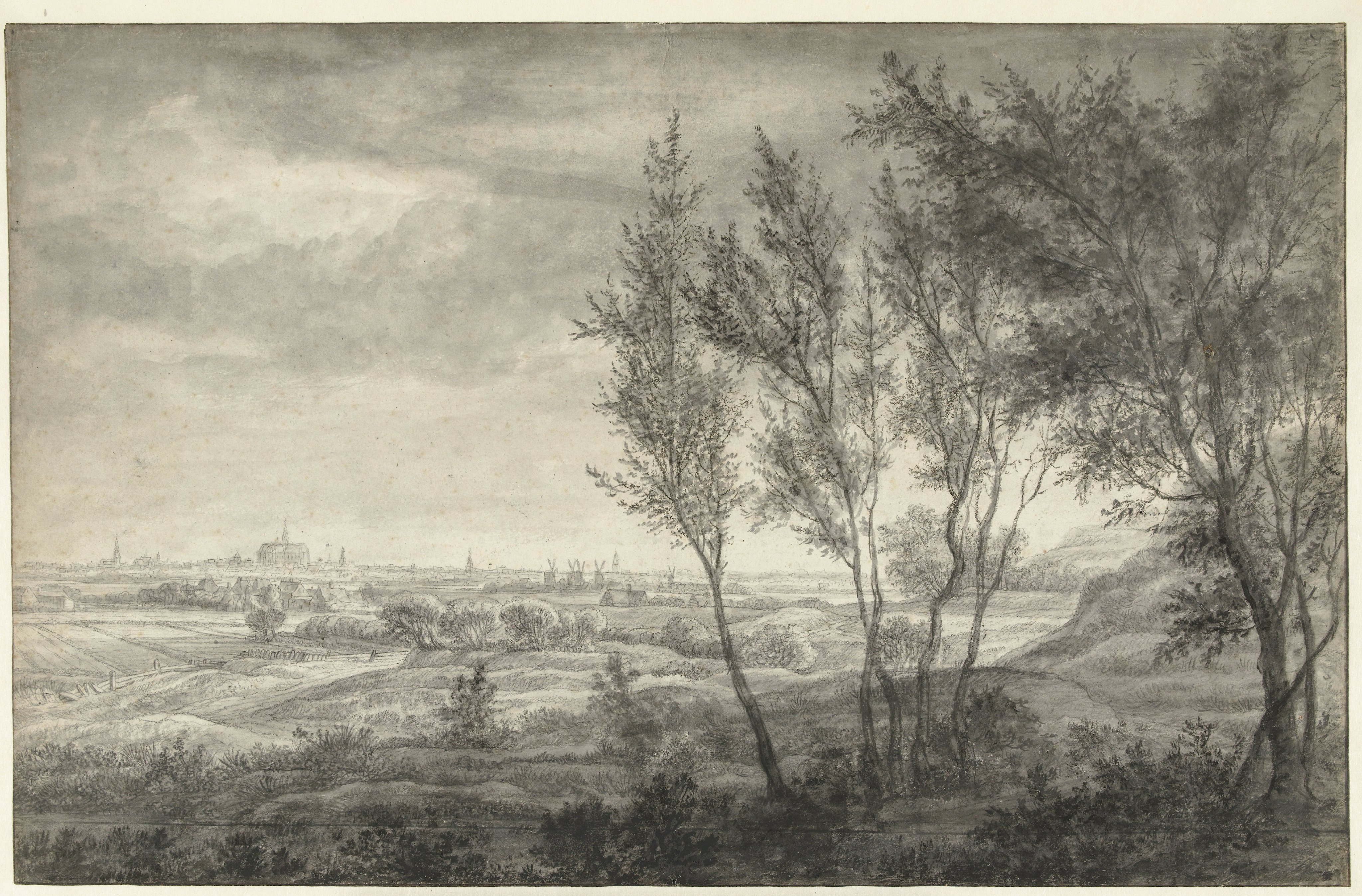 Gezicht vanuit de duinen op Haarlem
