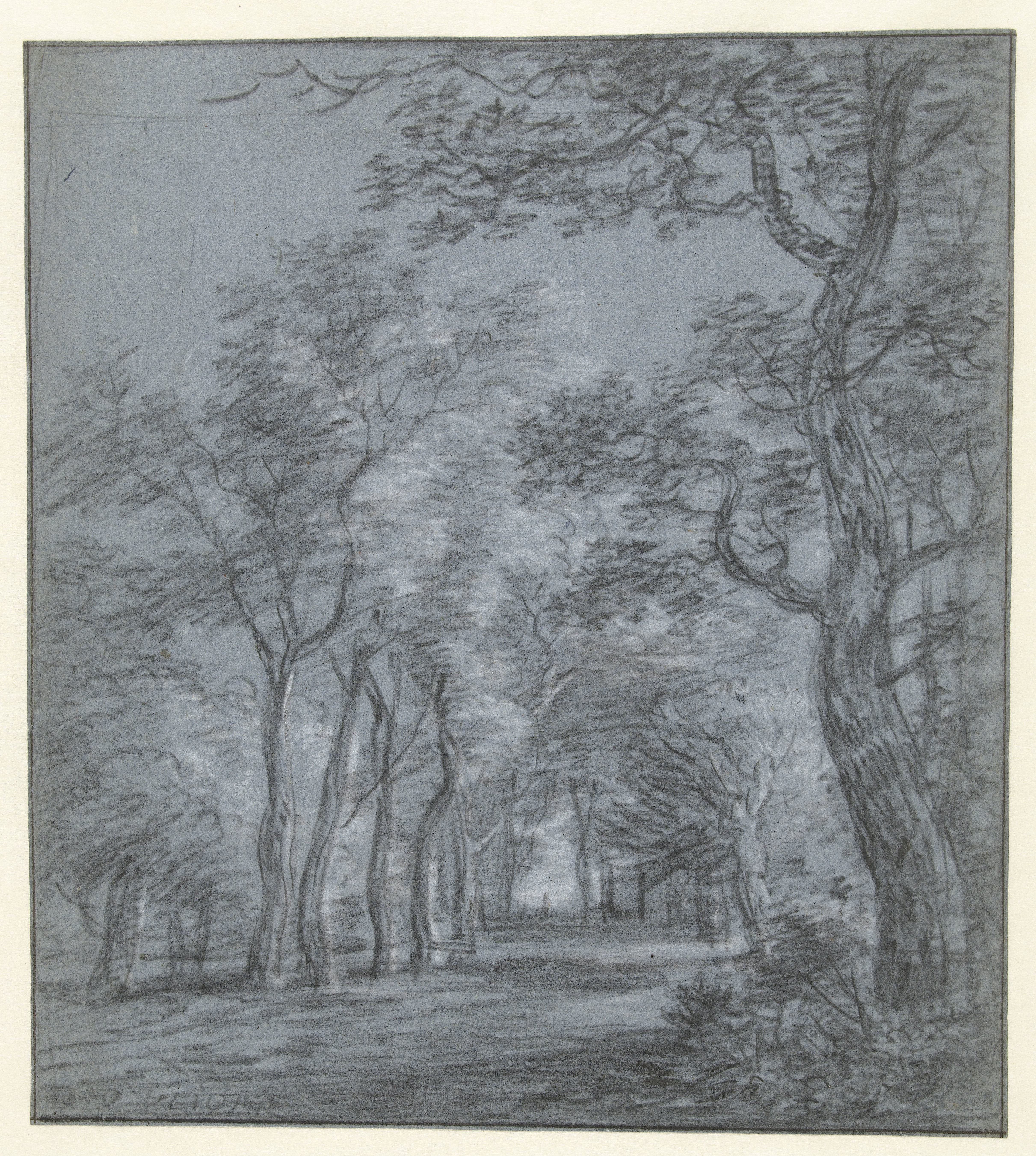 Open plek in het bos