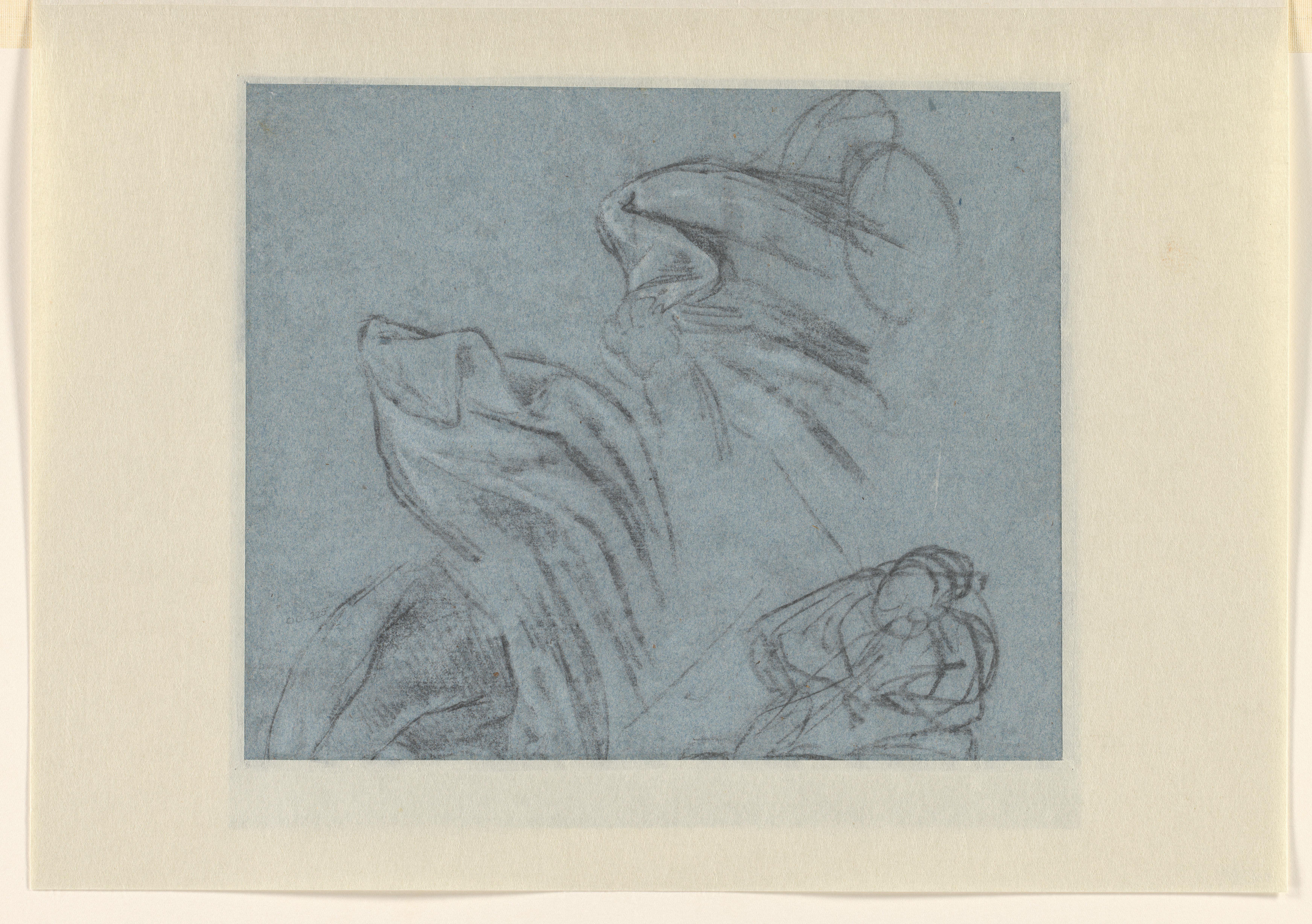 Studies van mantel