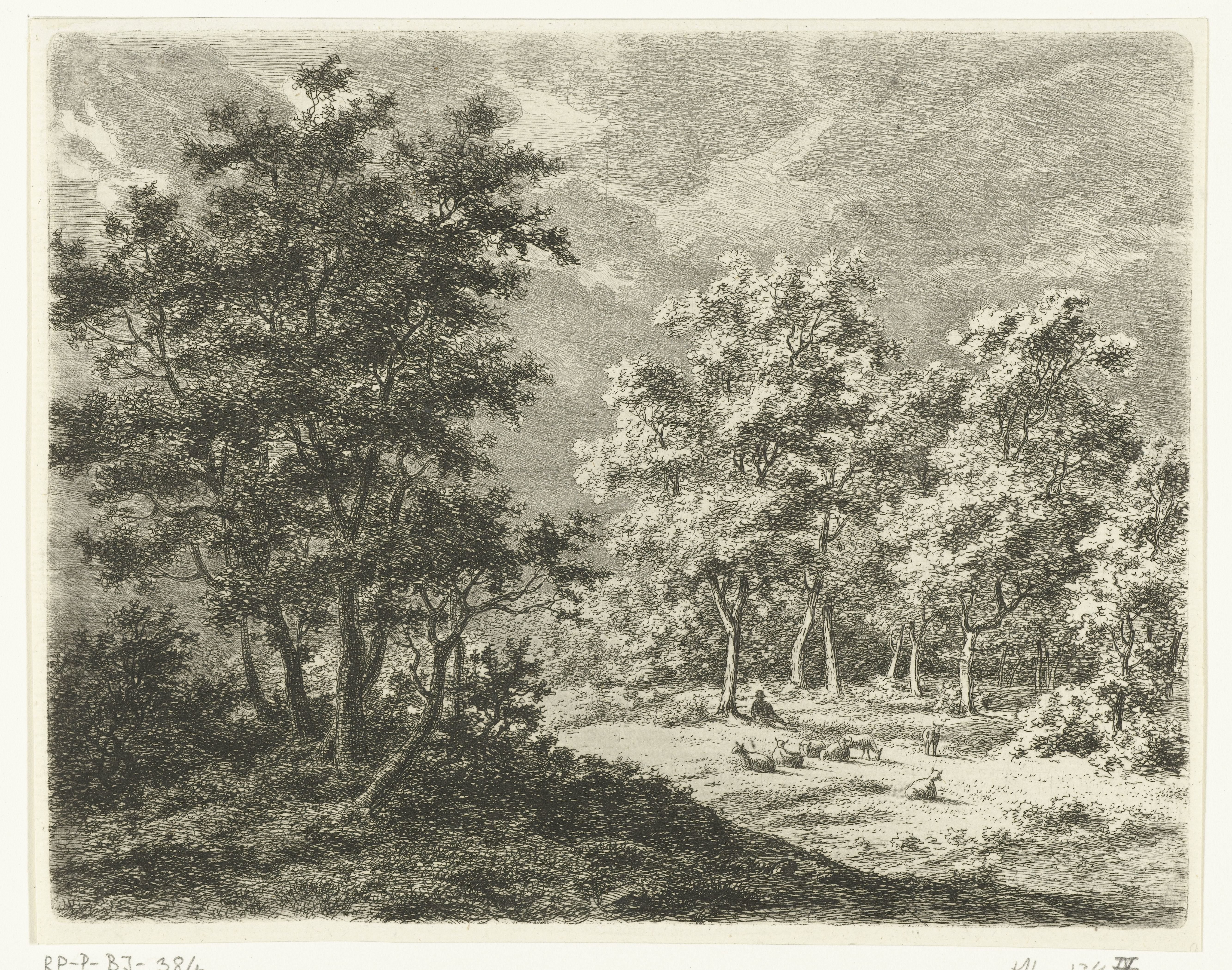 Landschap met herder en zeven schapen