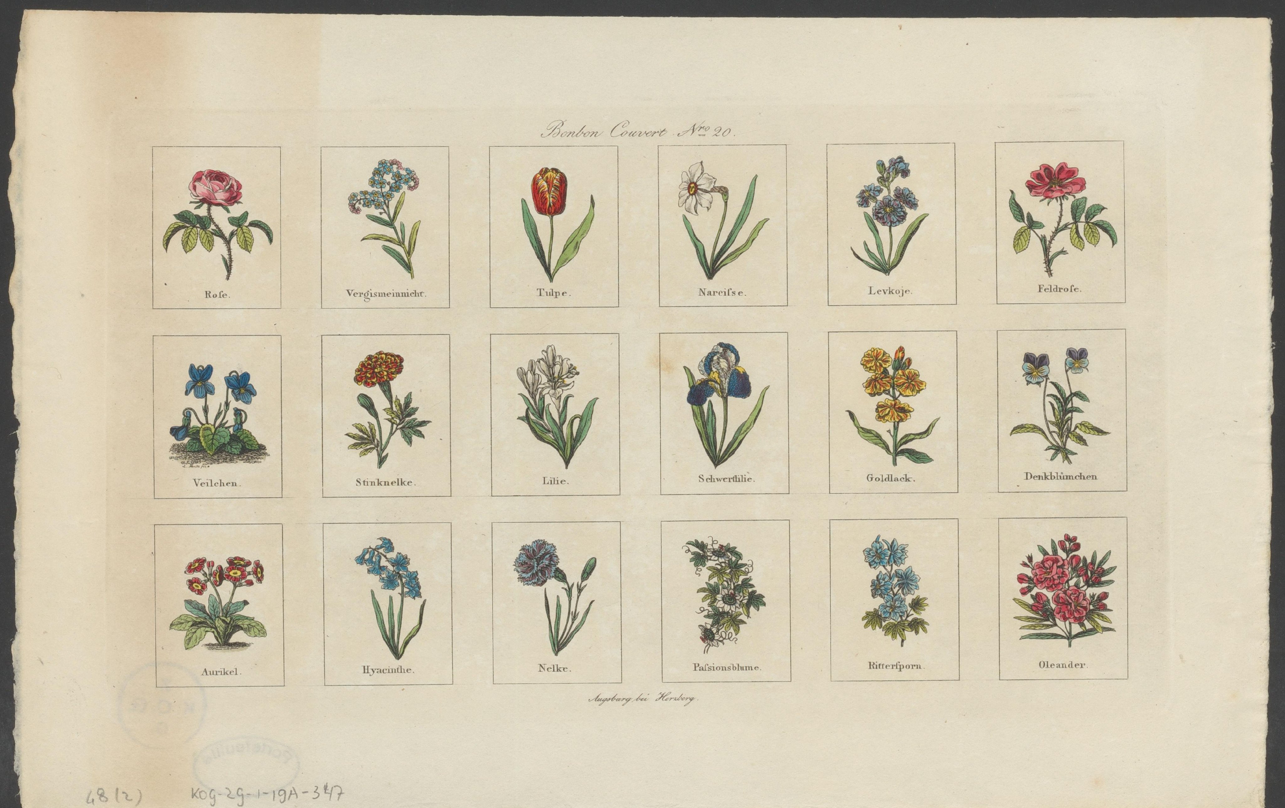 Achttien verschillende bloemen