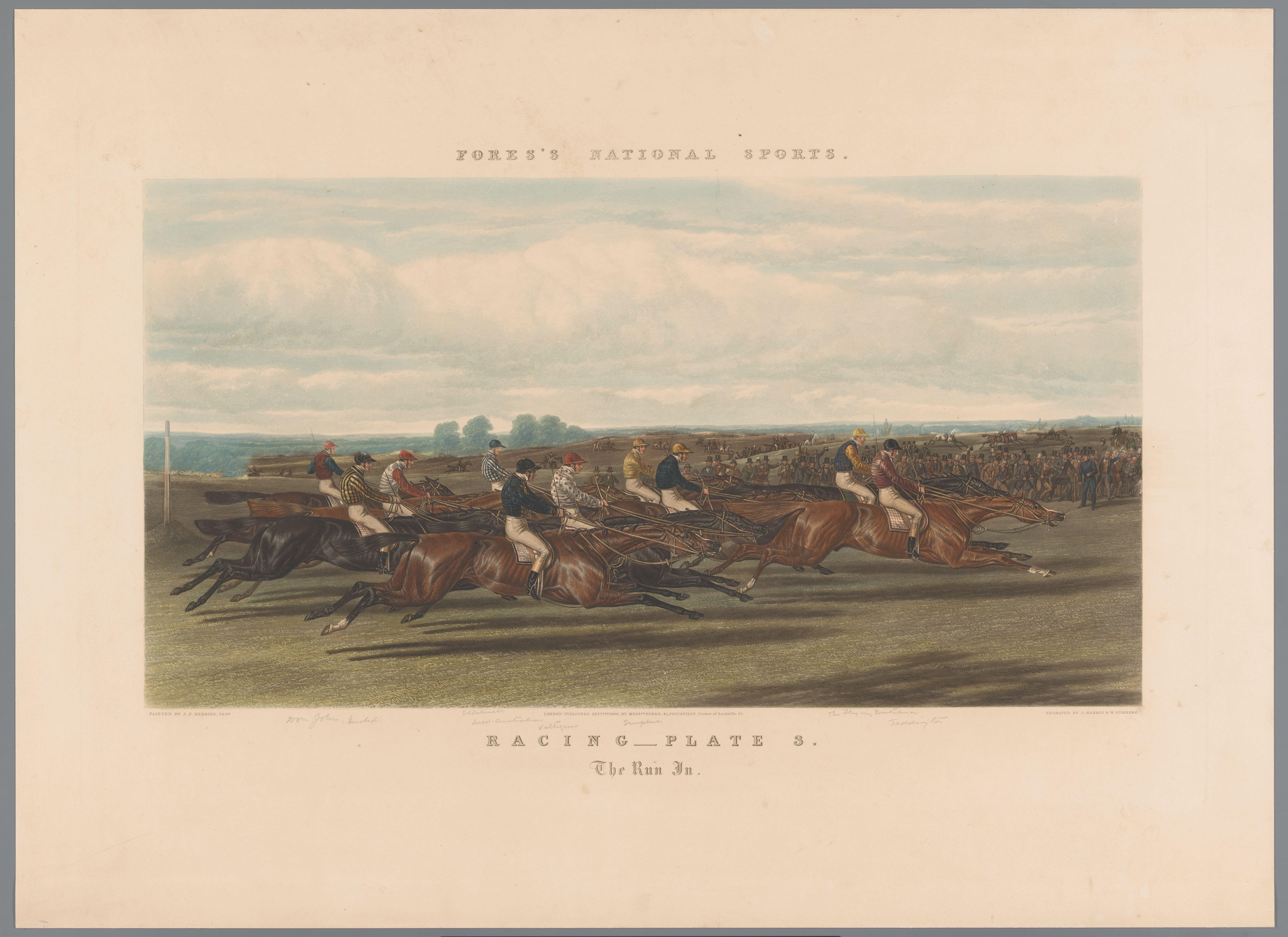 Paardenrace