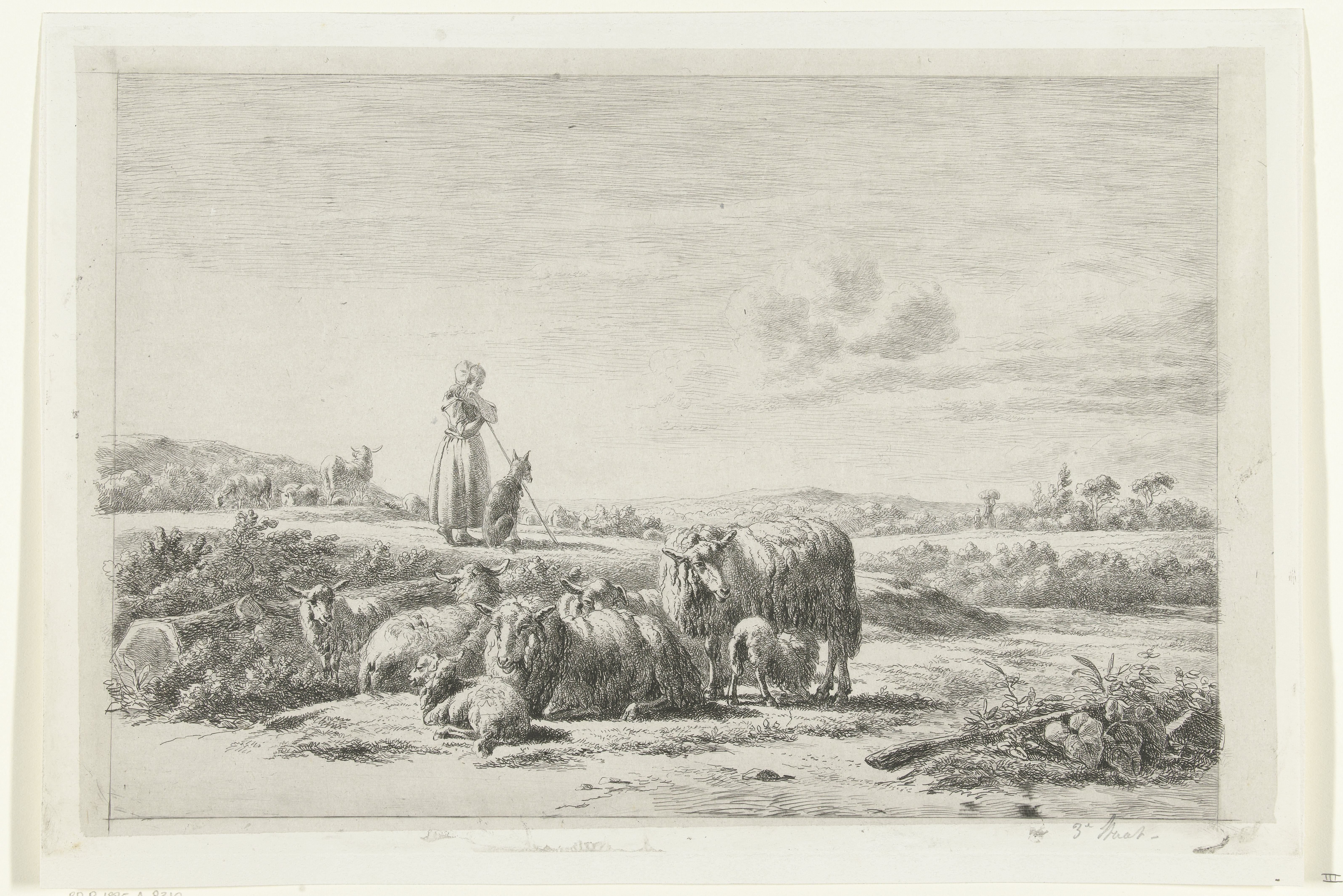 Landschap met herderin en hond bij kudde schapen