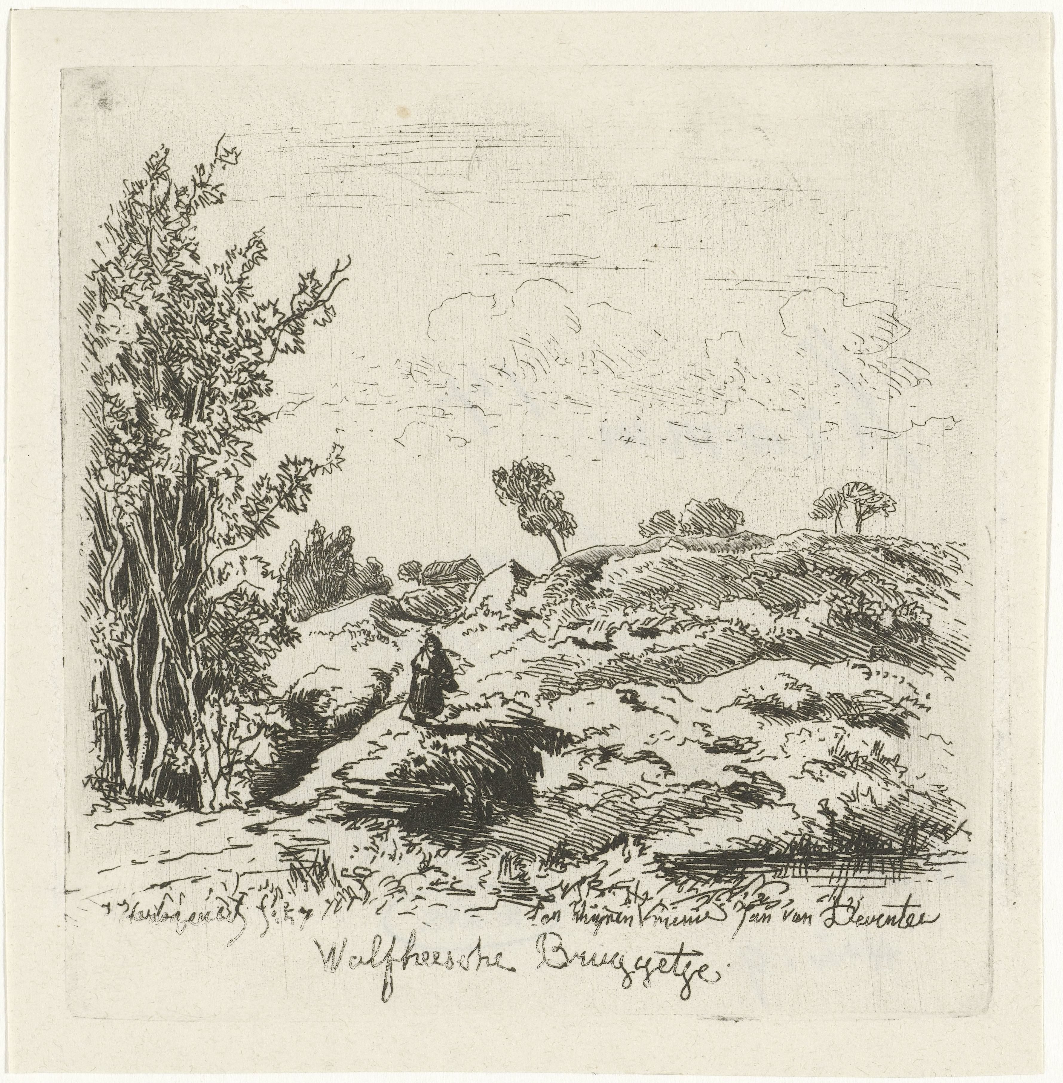 Vrouw in een landschap