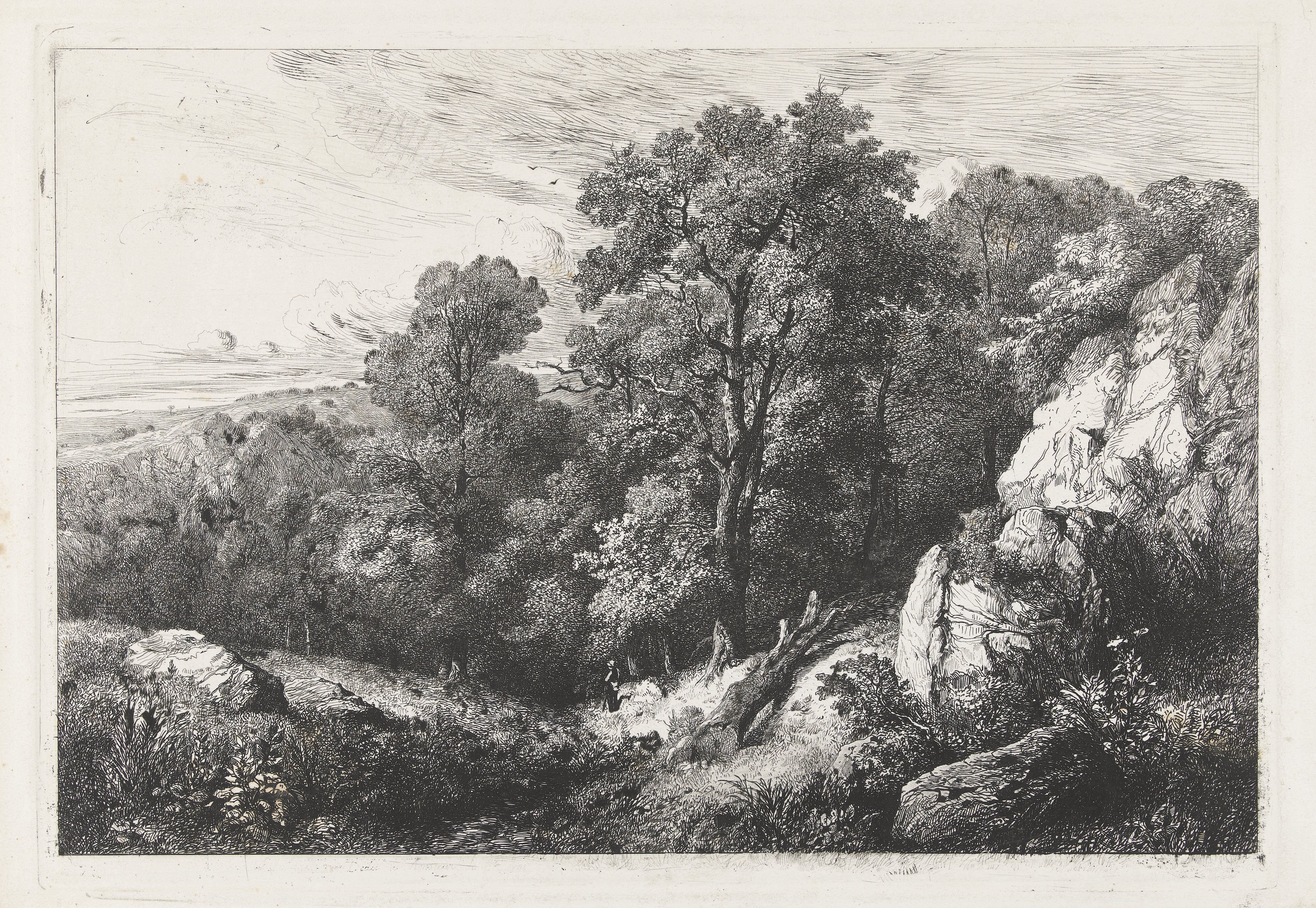 Heuvelachtig landschap met wandelaar