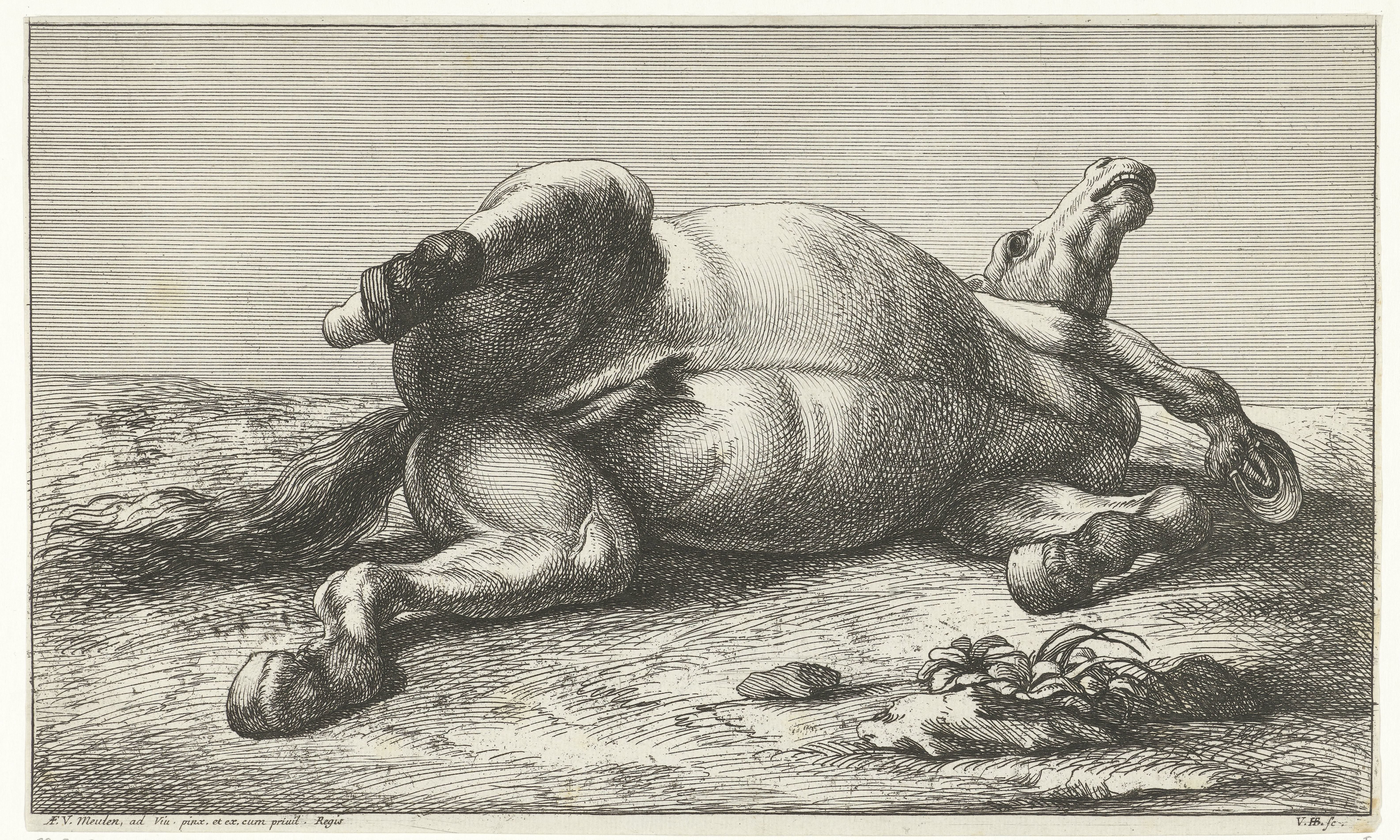 Gesneuveld paard liggend op de linkerzij