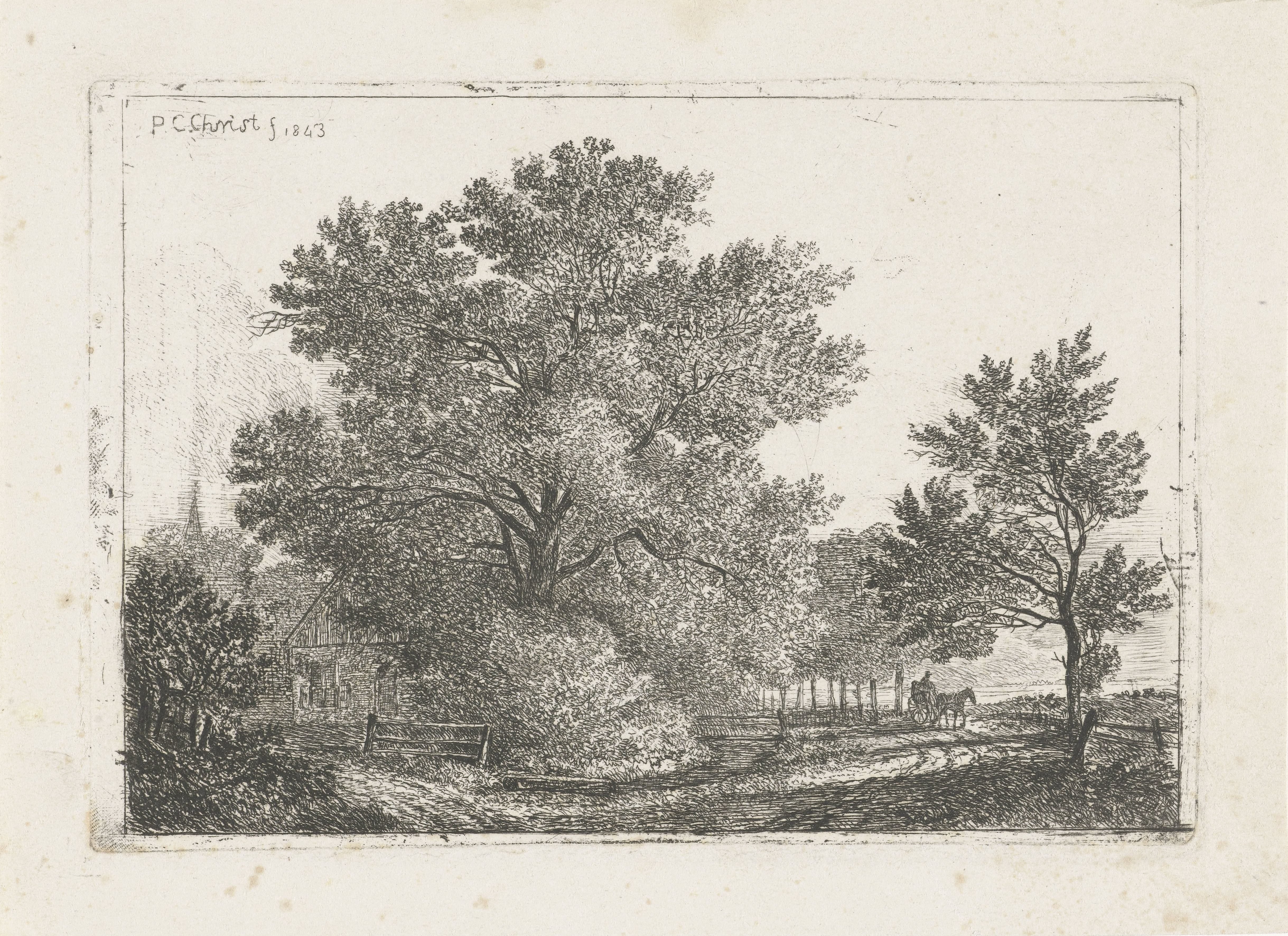 Landschap met grote boom