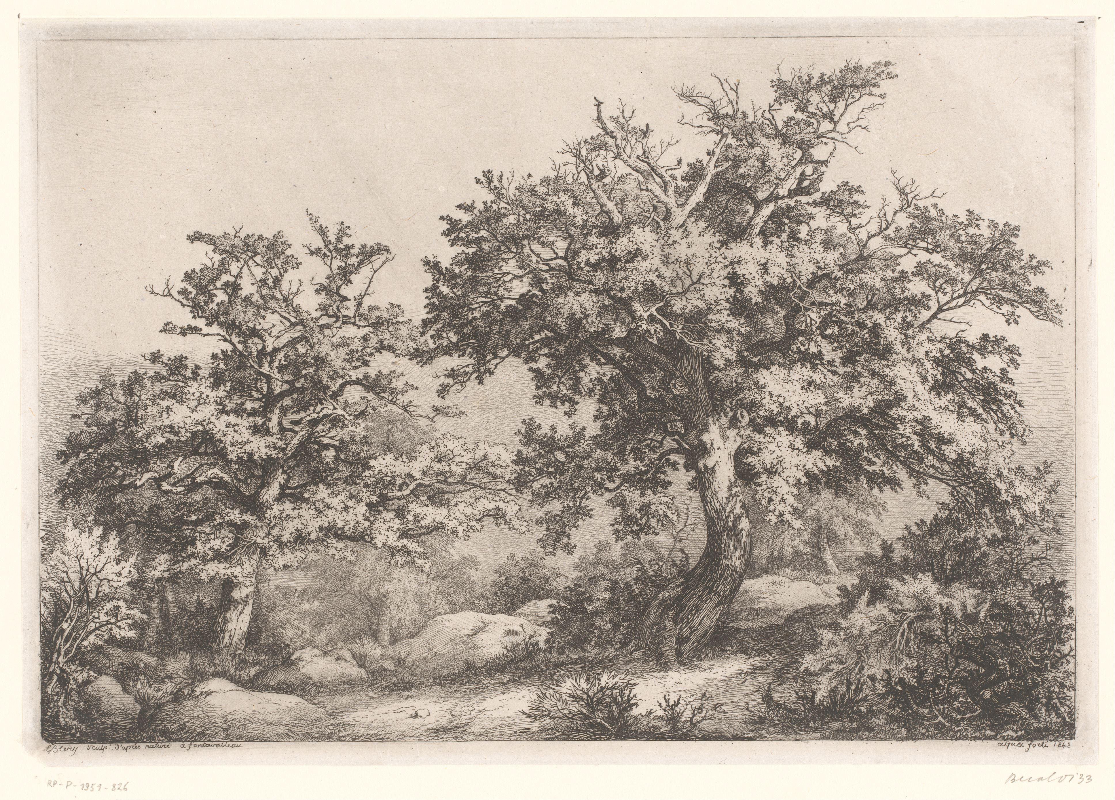Landschap met twee eiken