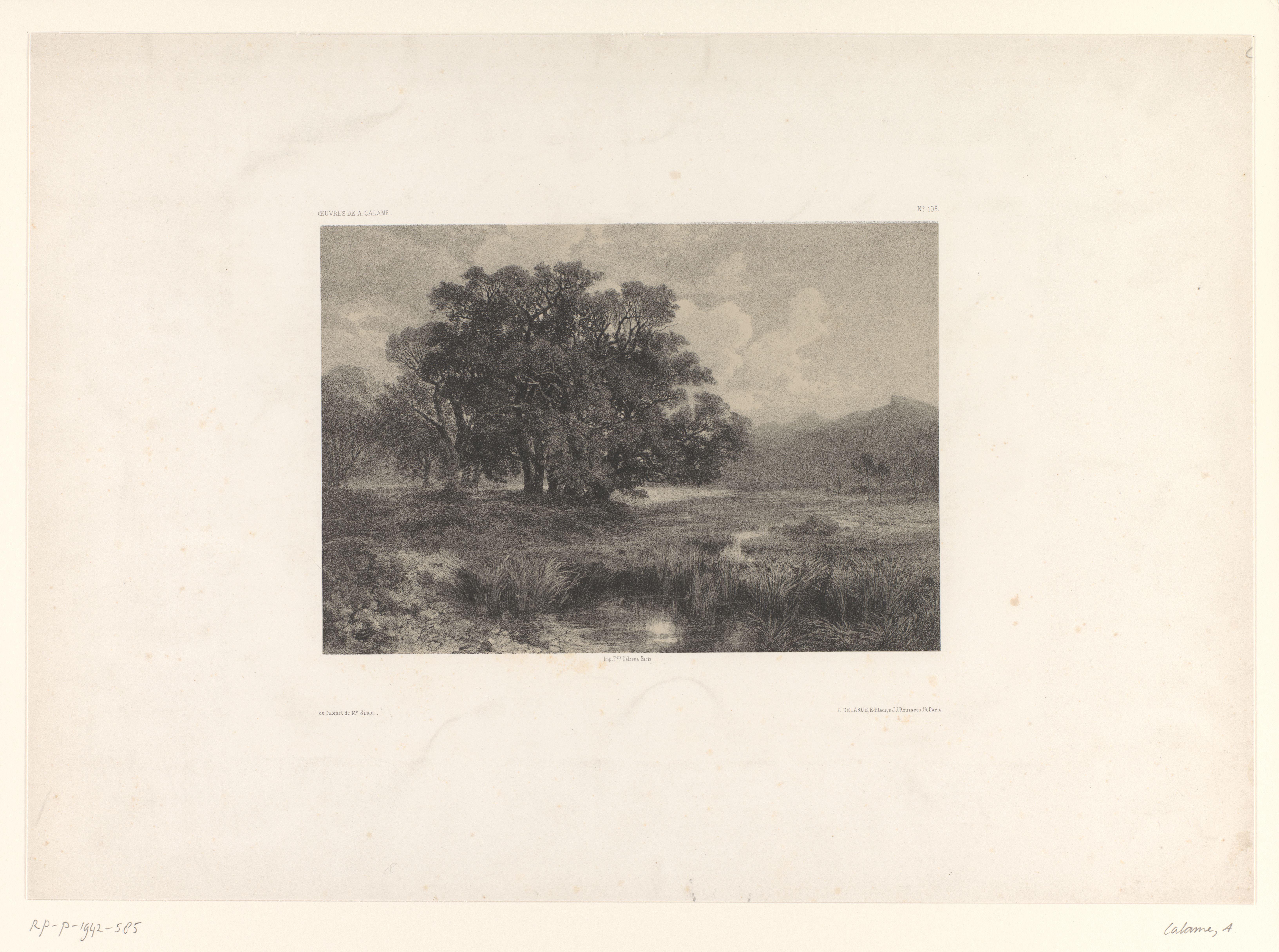 Berglandschap met boomgroep bij een ven