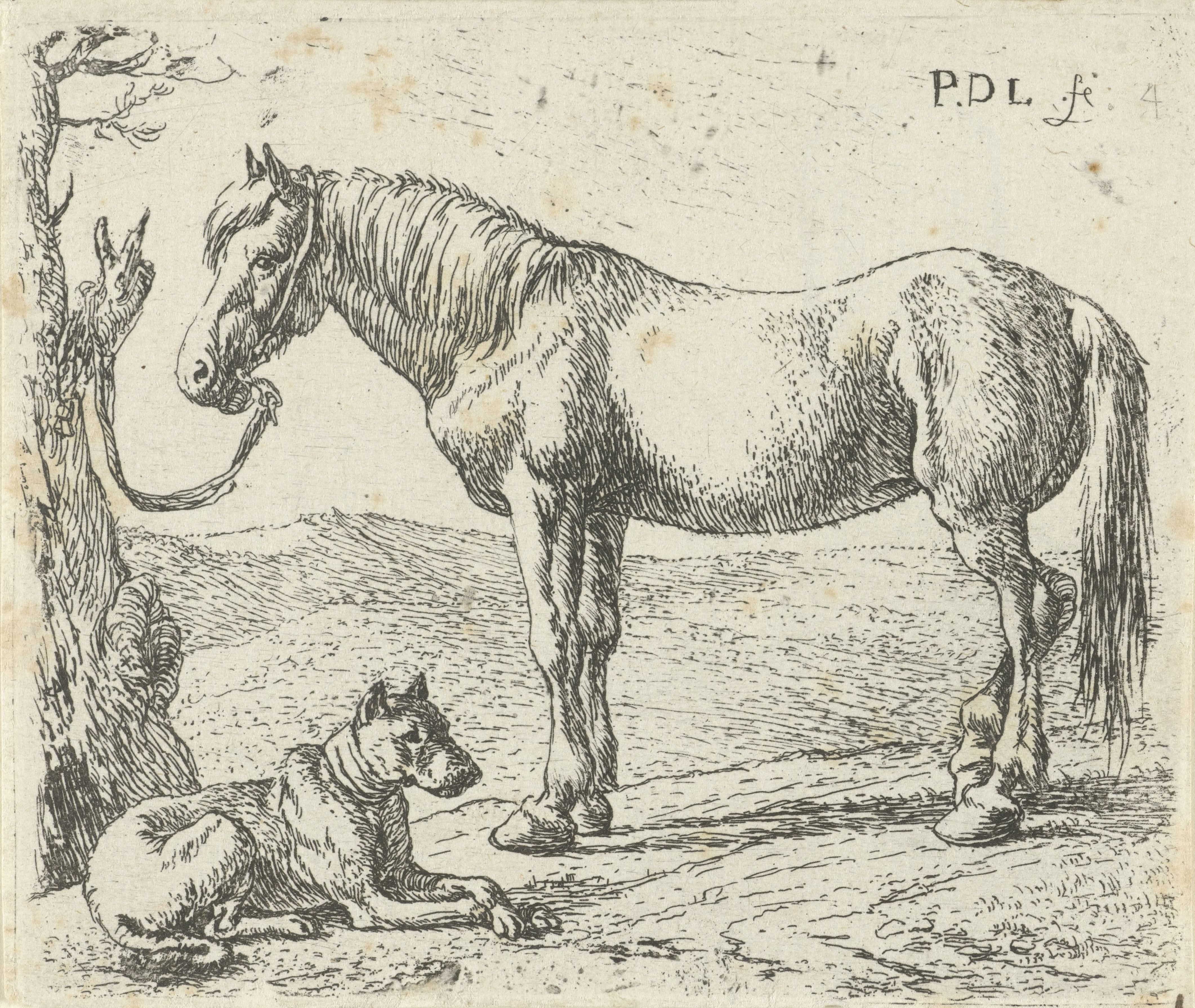 Paard en hond in een weide