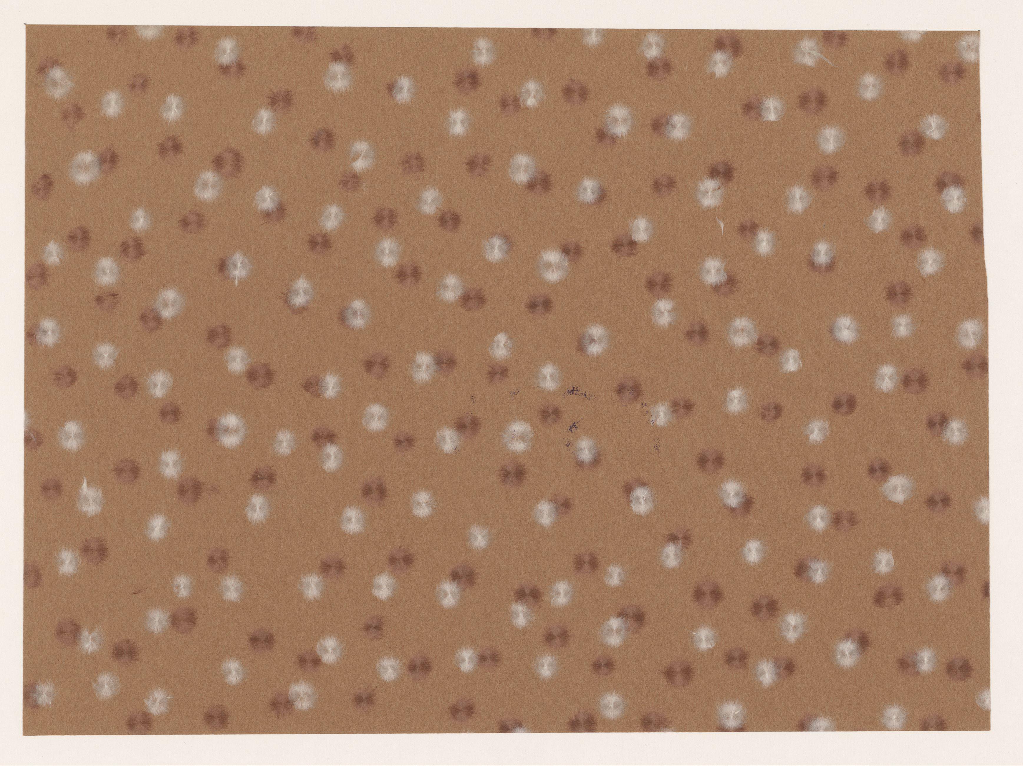 Strooipatroon van bruine en witte ronde pluisjes op bruin papier