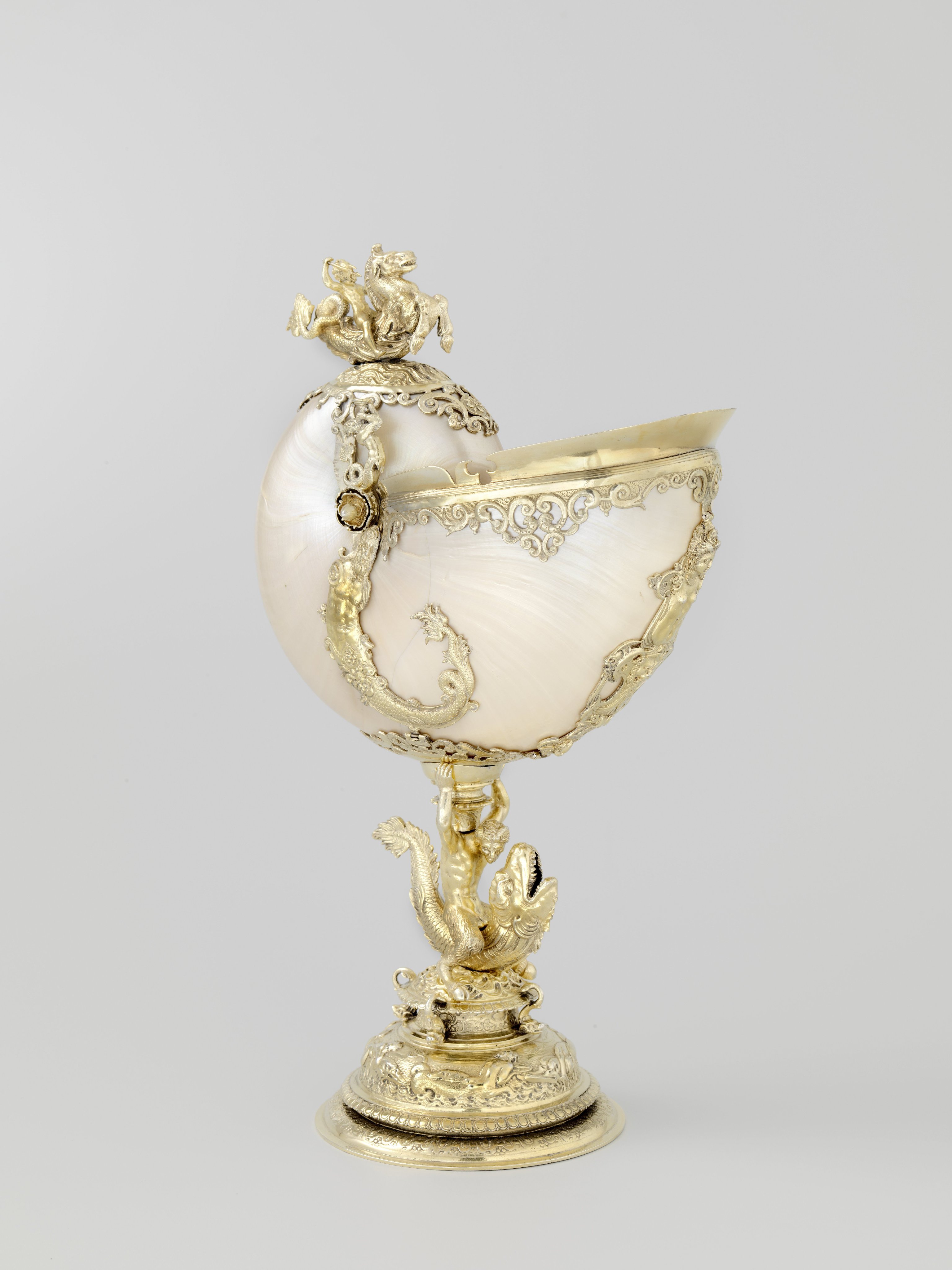 Nautilus cup
