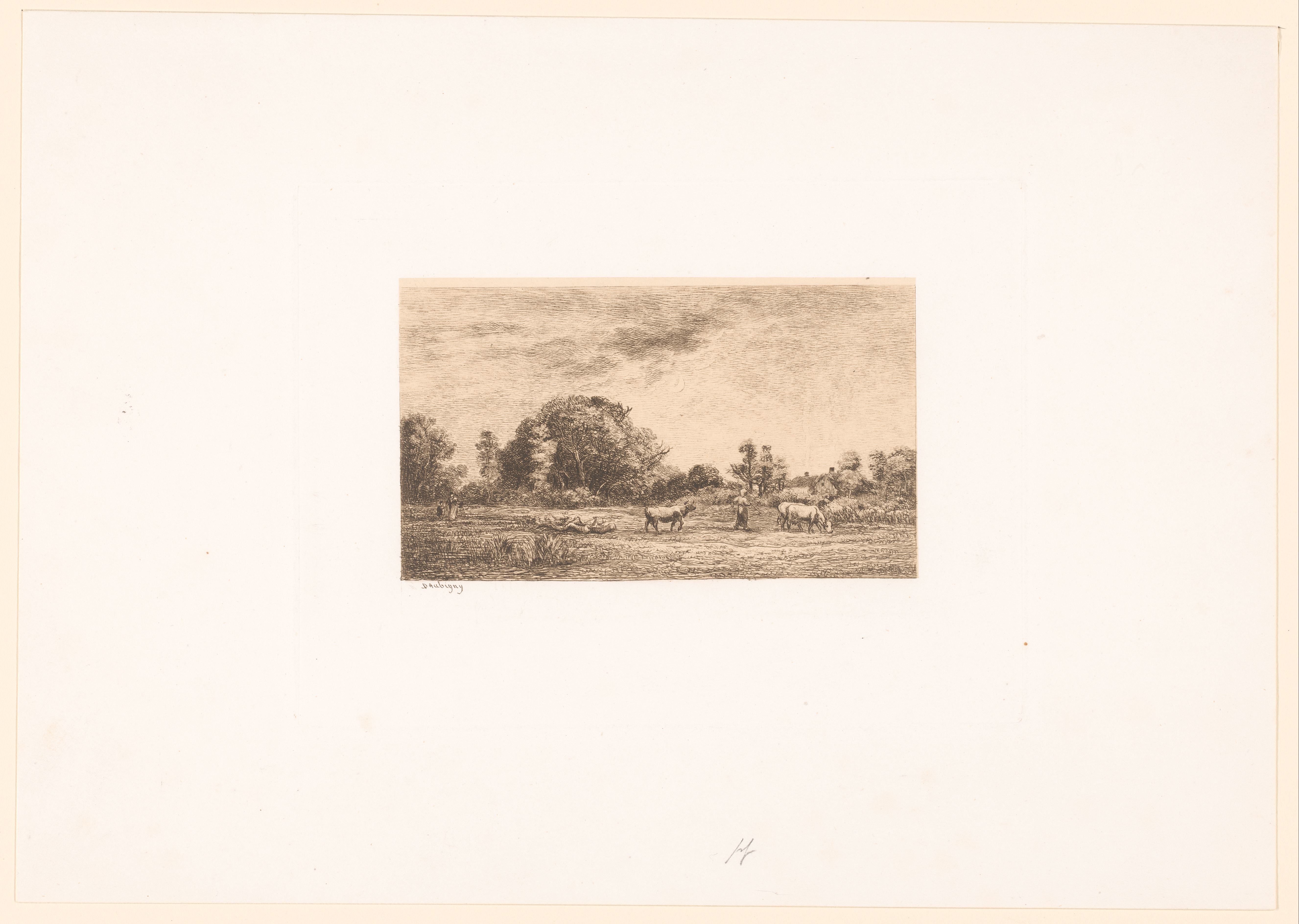 Landschap met koeien