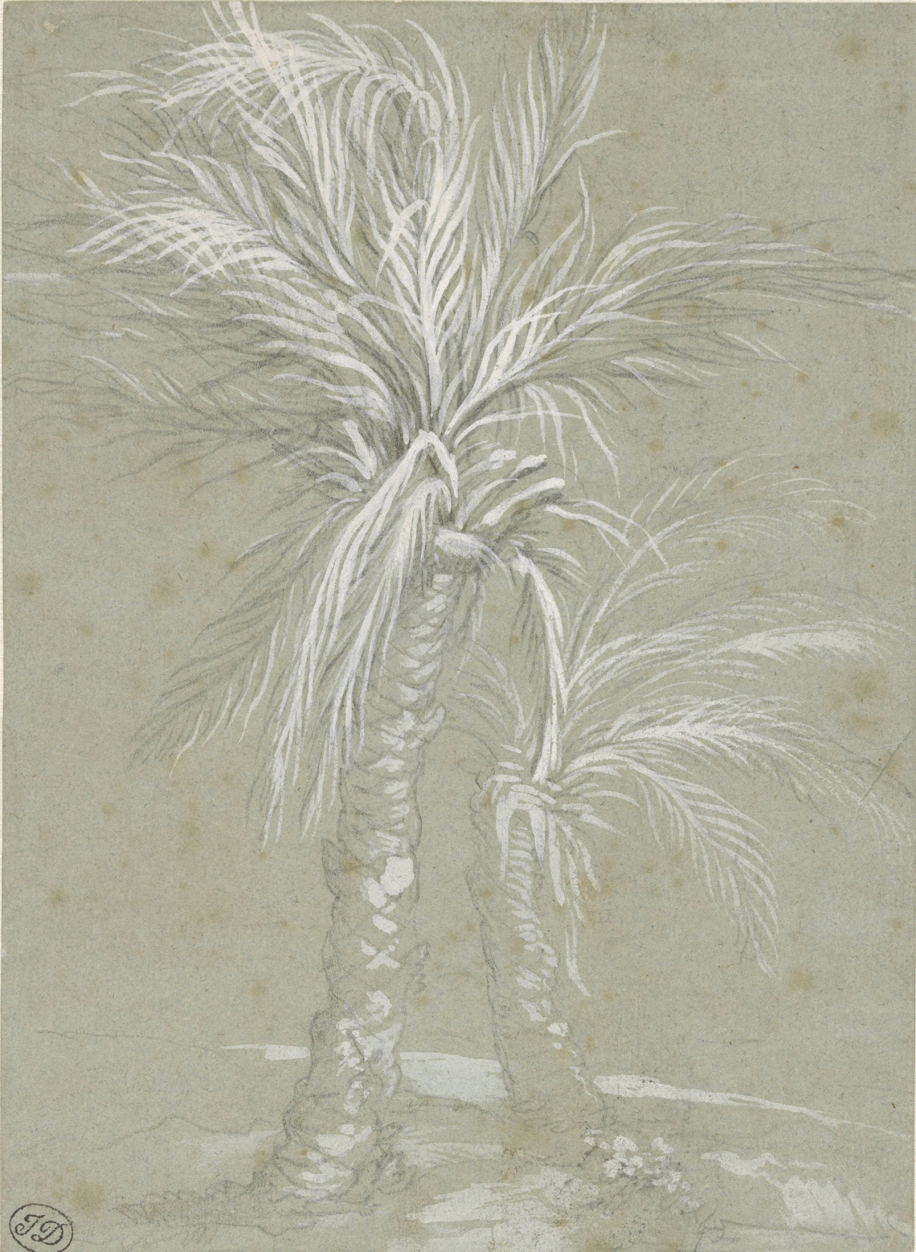 Two Palm Trees