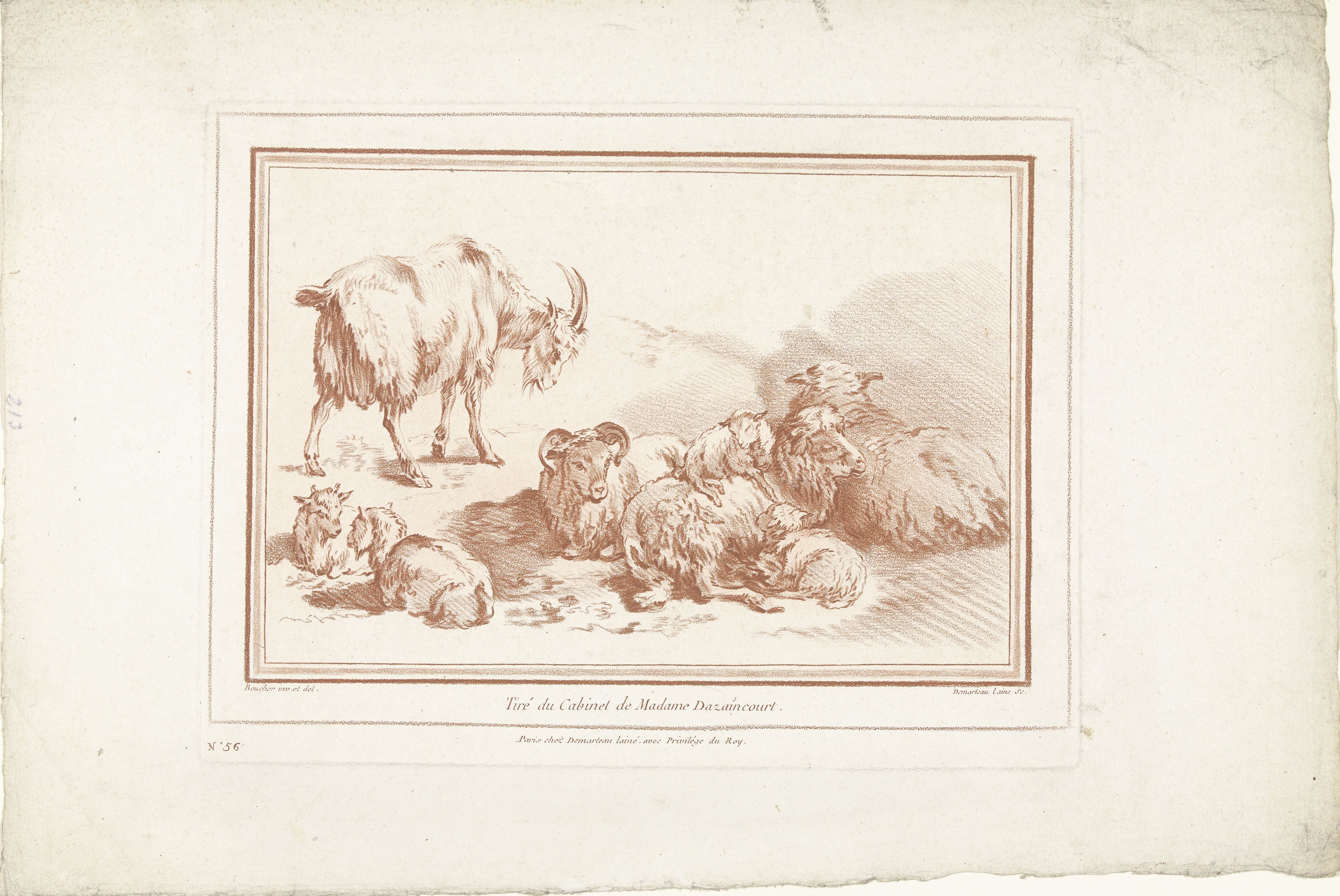 Liggende schapen met lammeren en geit met jongen