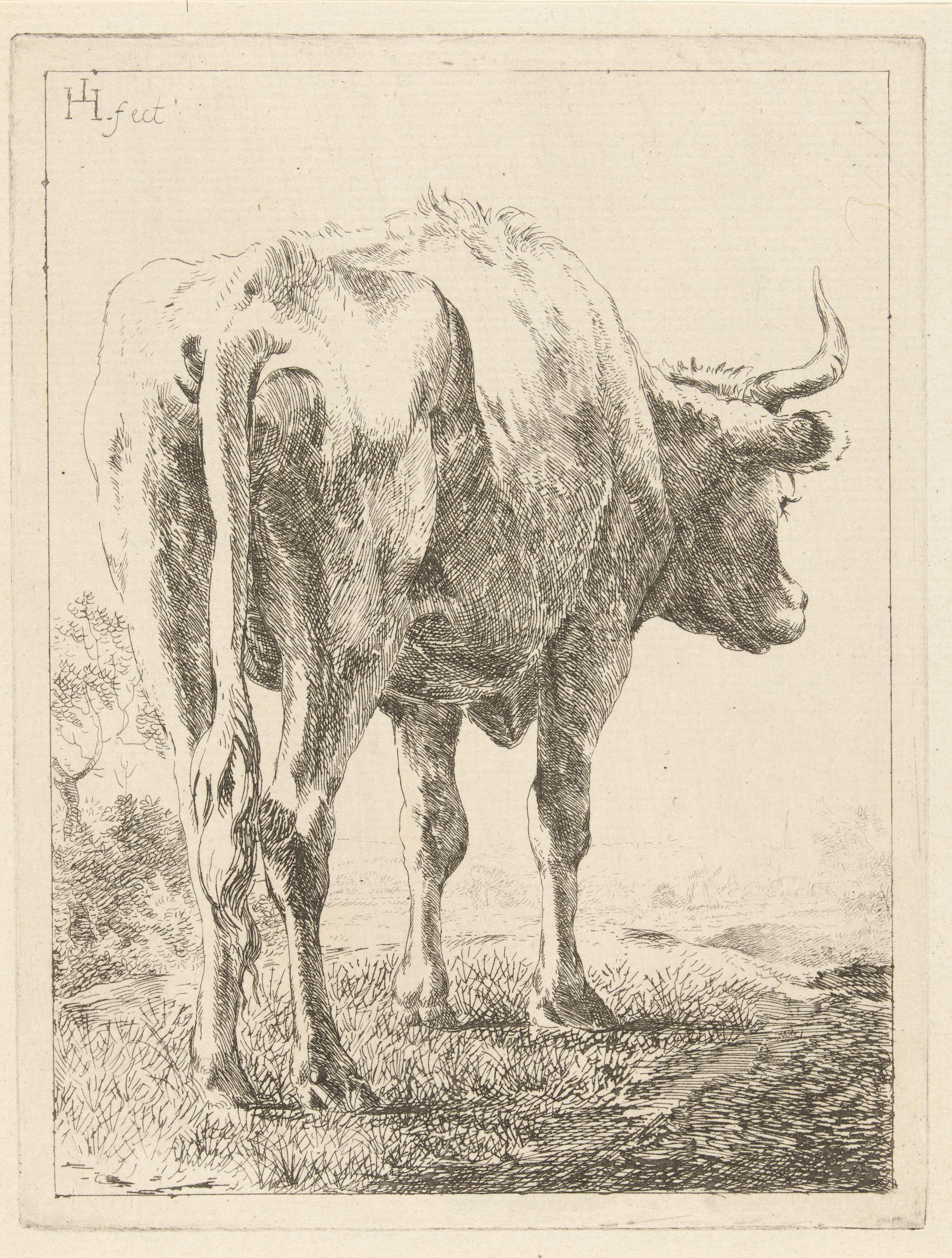 Koe in een landschap