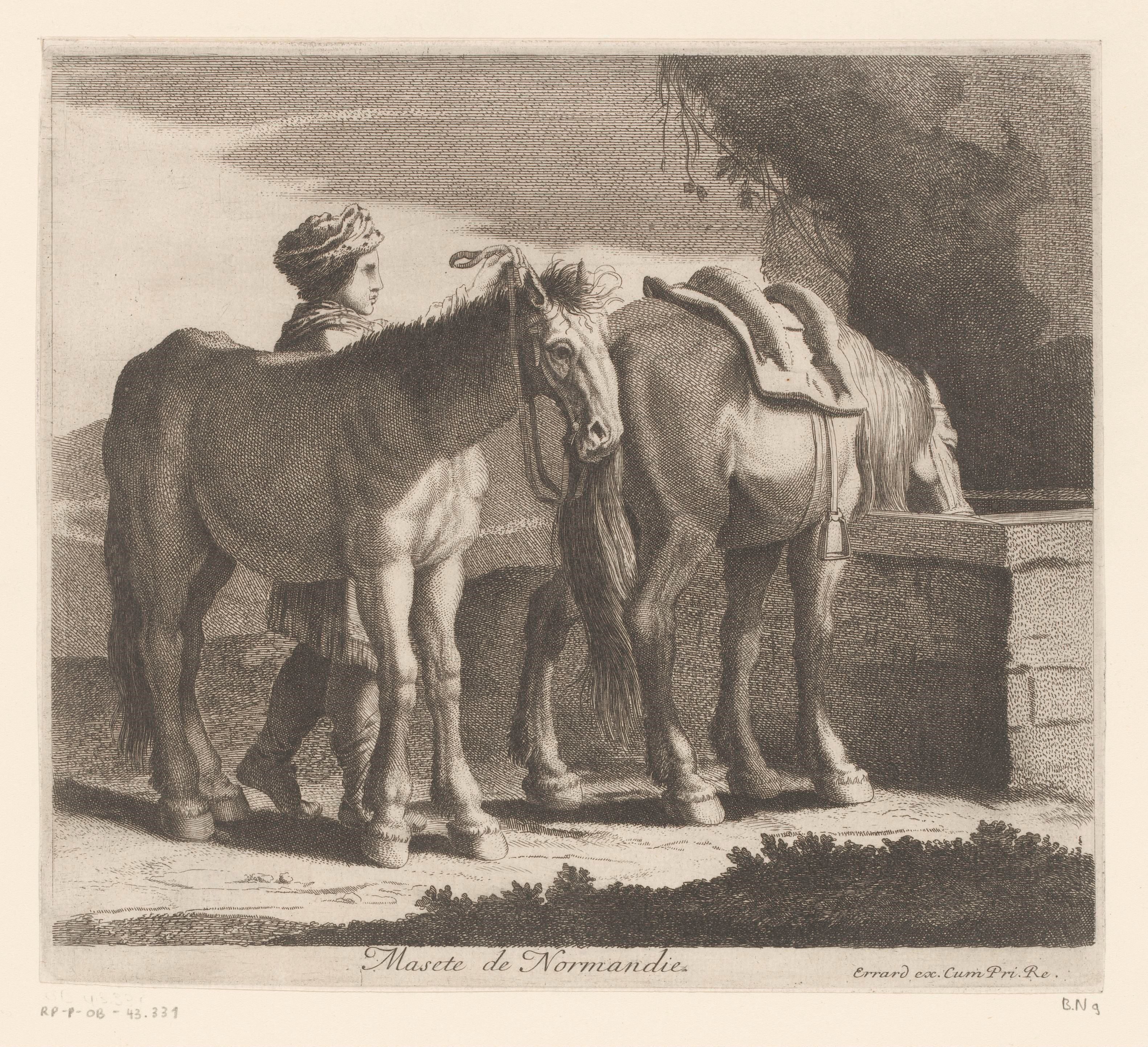Drinkende paarden