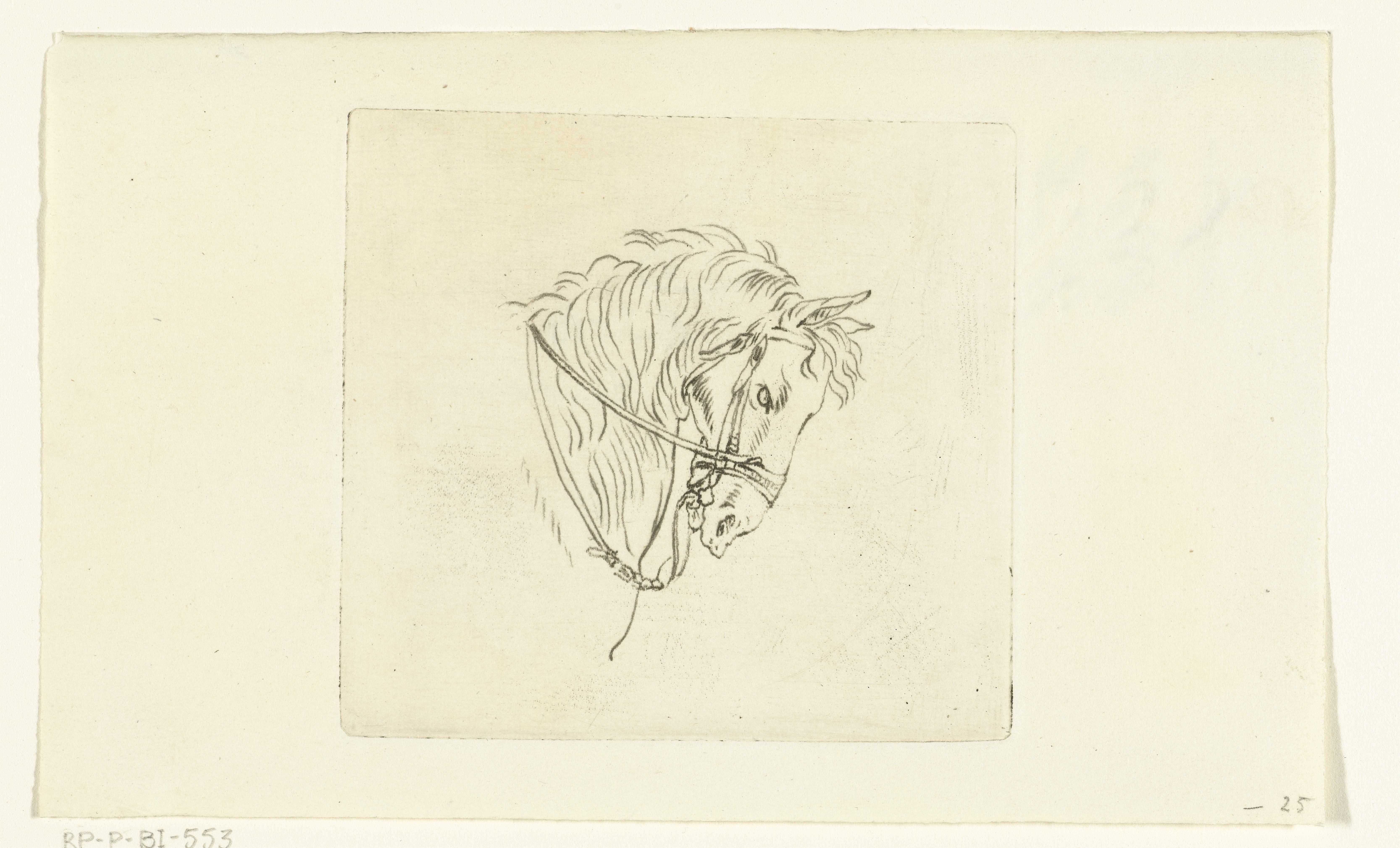 Hoofd van paard met teugels