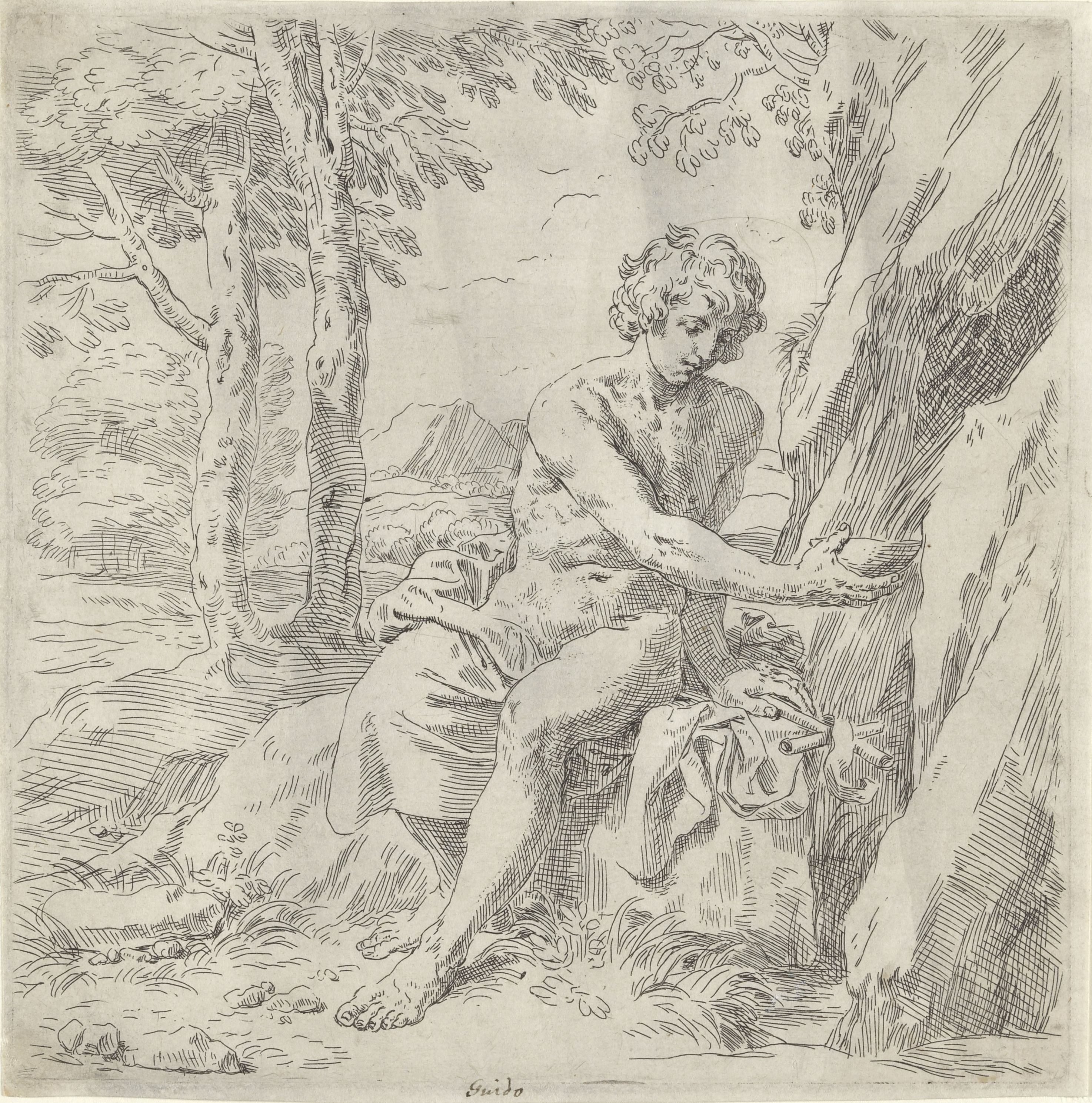 Johannes de Doper in de wildernis