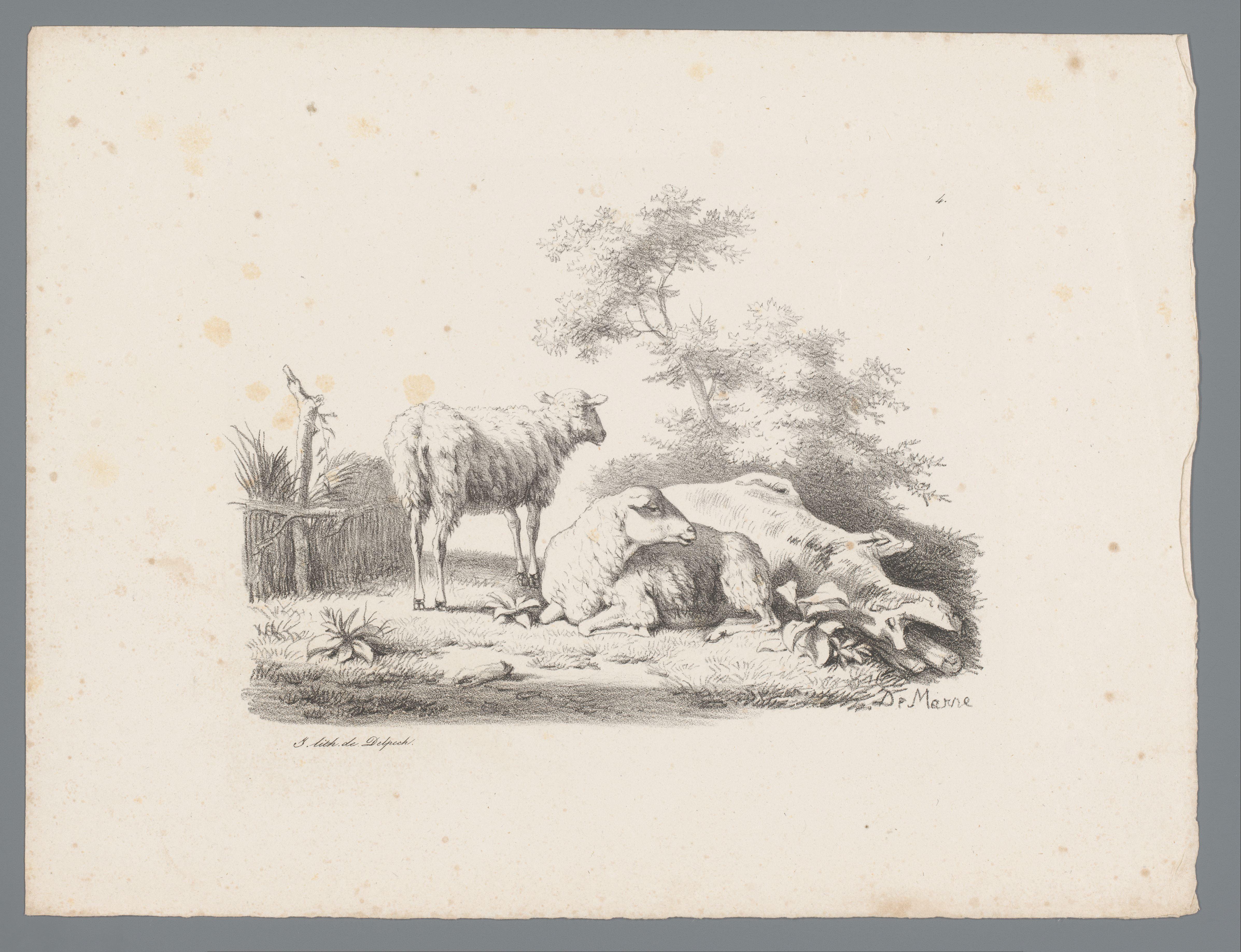 Landschap met twee schapen