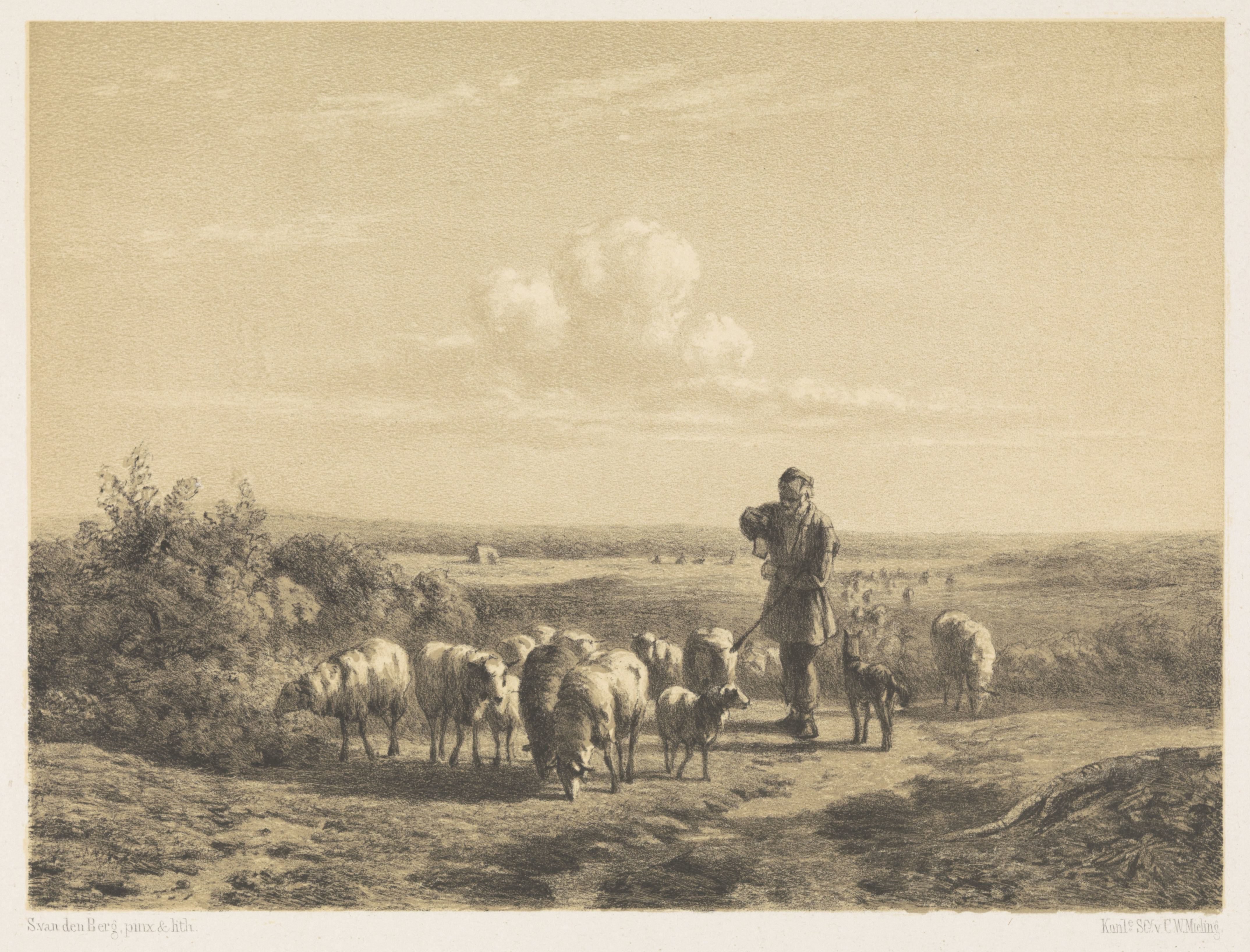 Herder met zijn schapen op de hei