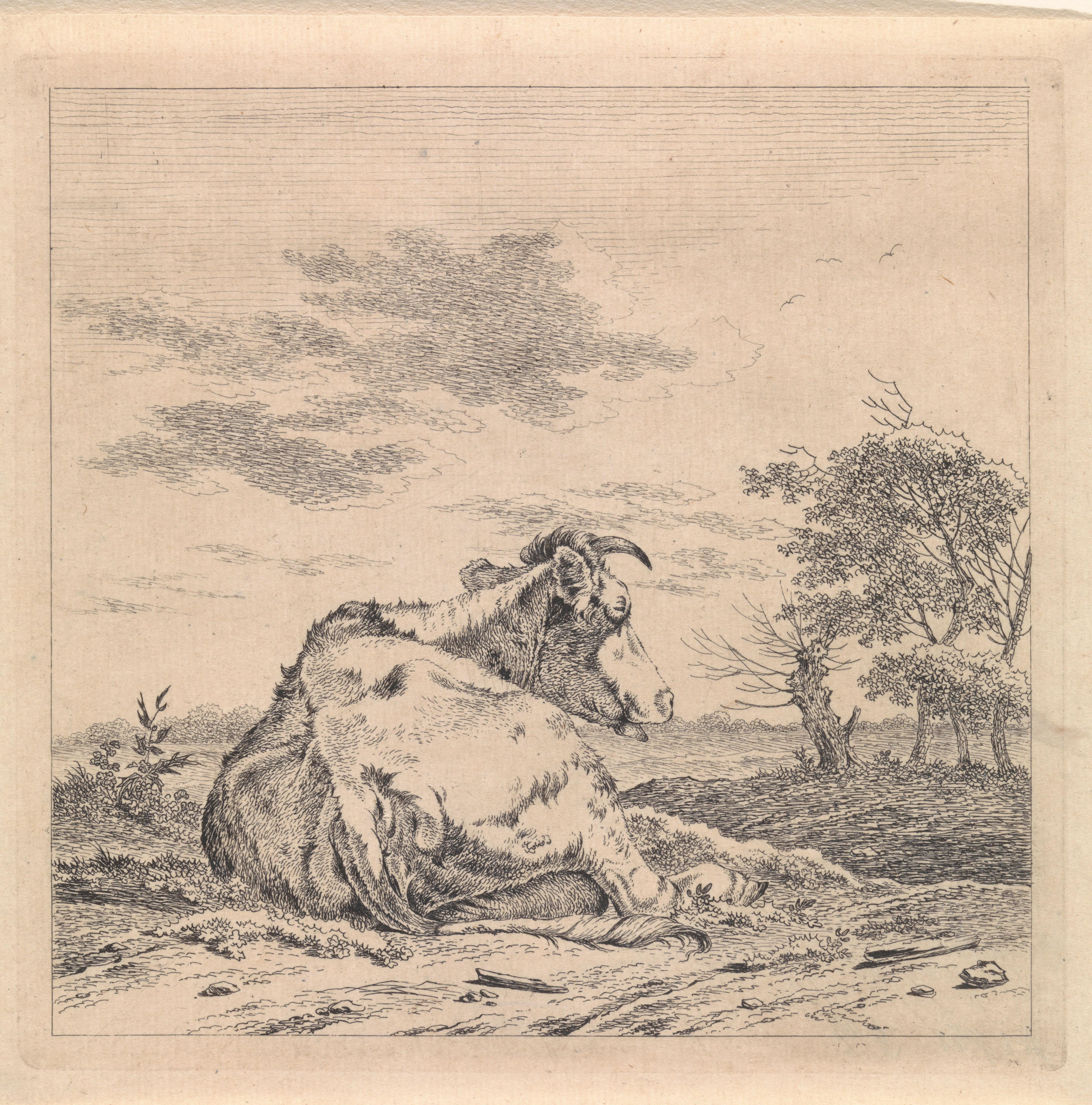 Landschap met liggende koe