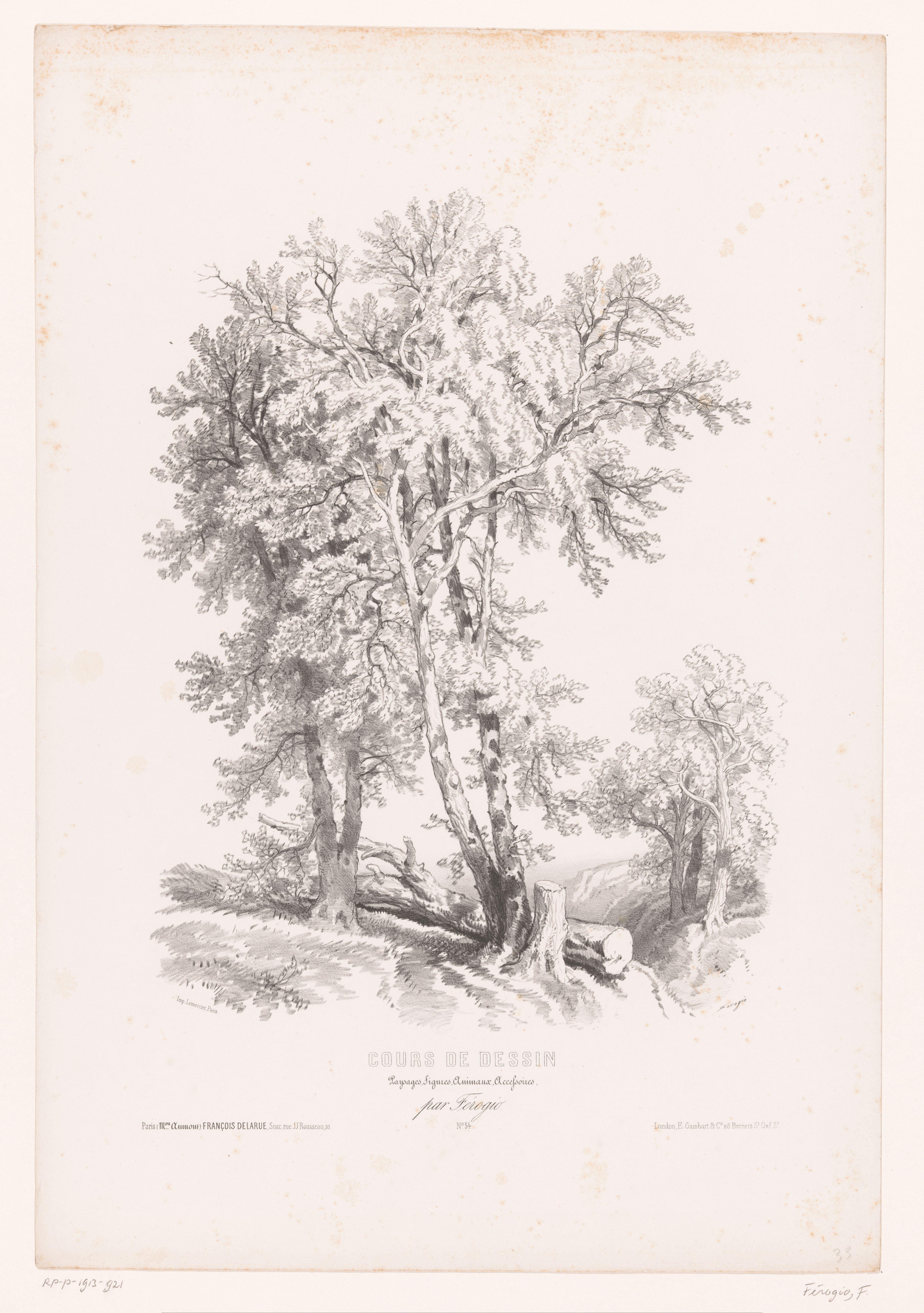 Bomen in een landschap