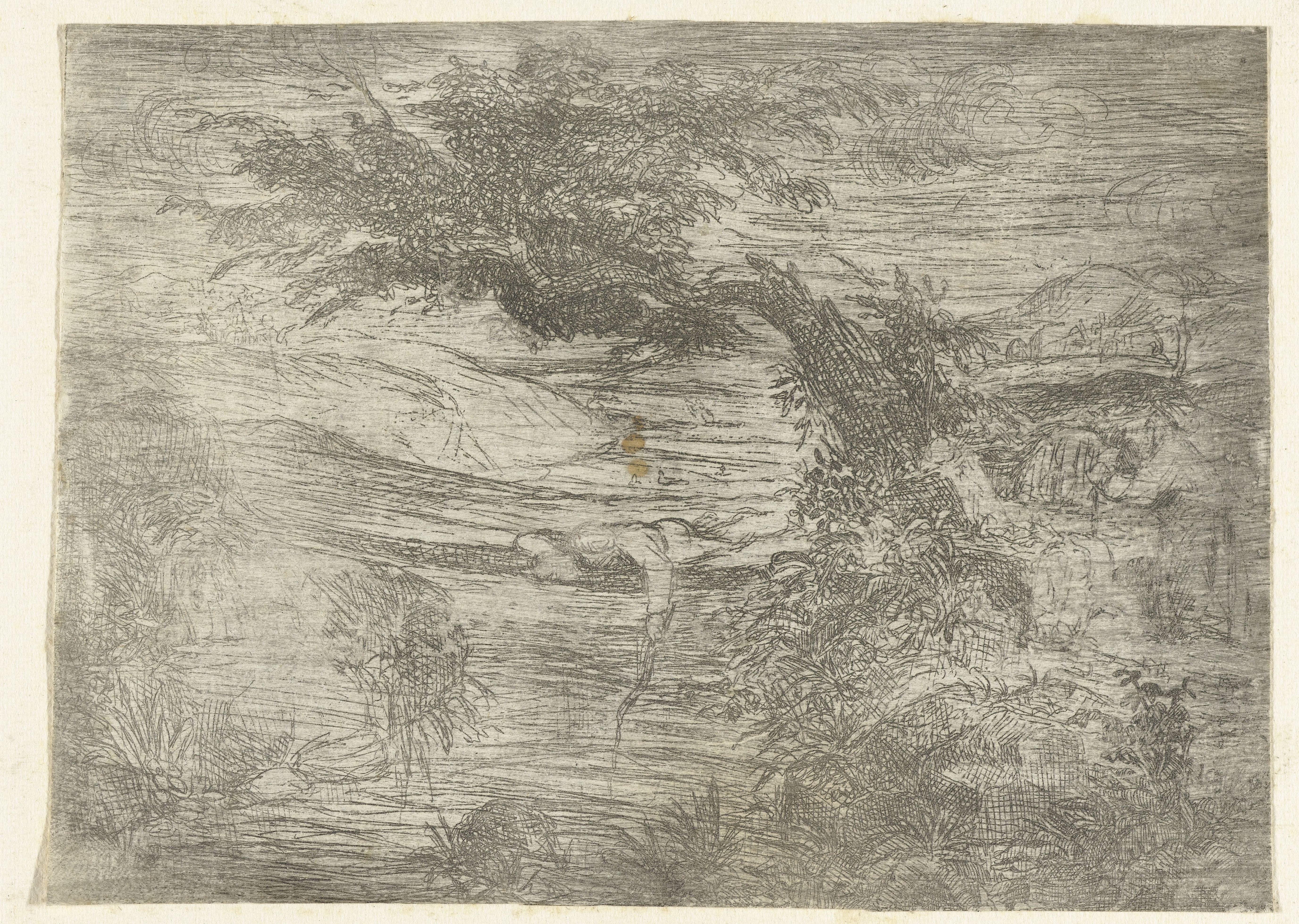 Landschap met visser