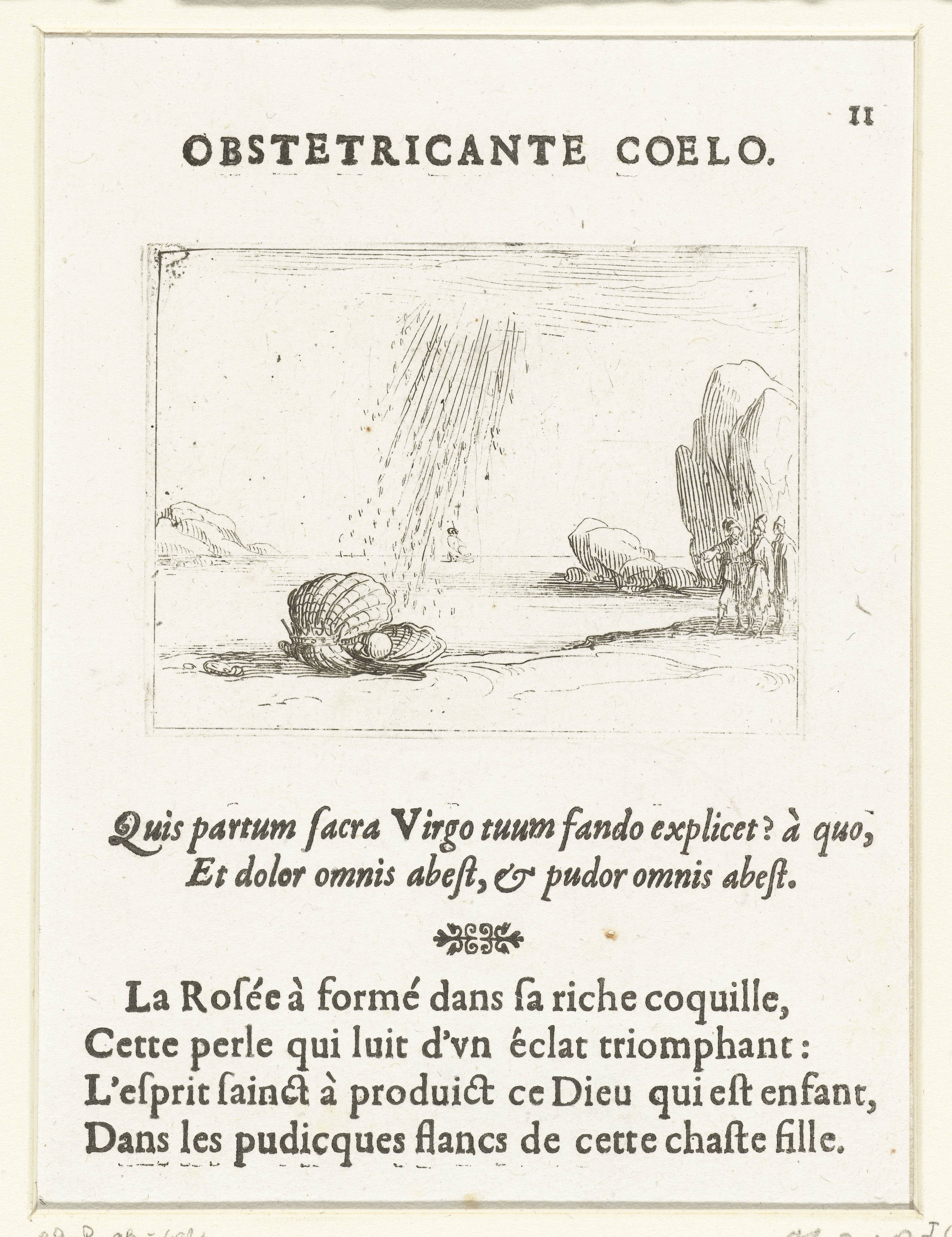 Oester op een strand