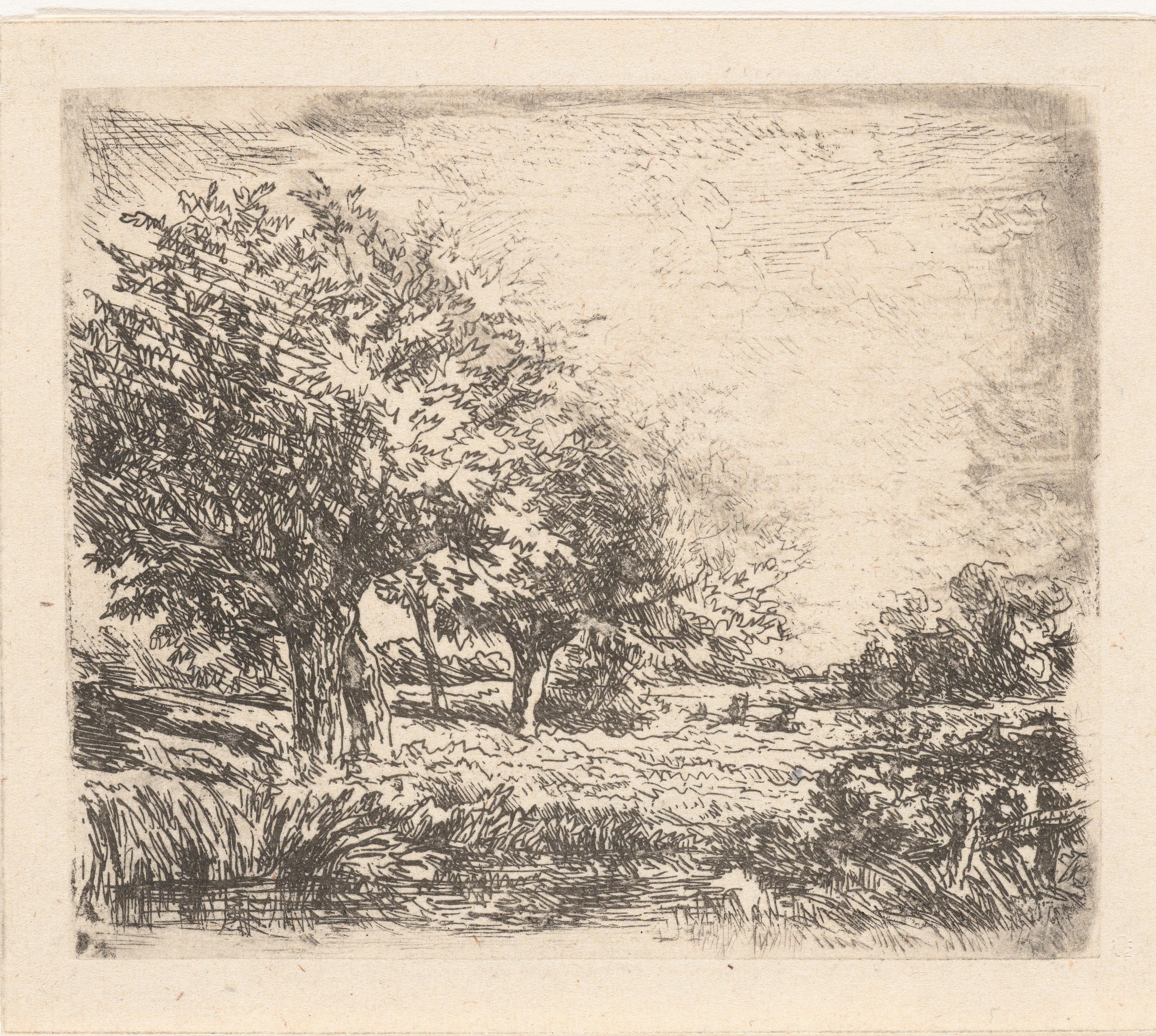 Landschap met wilgen
