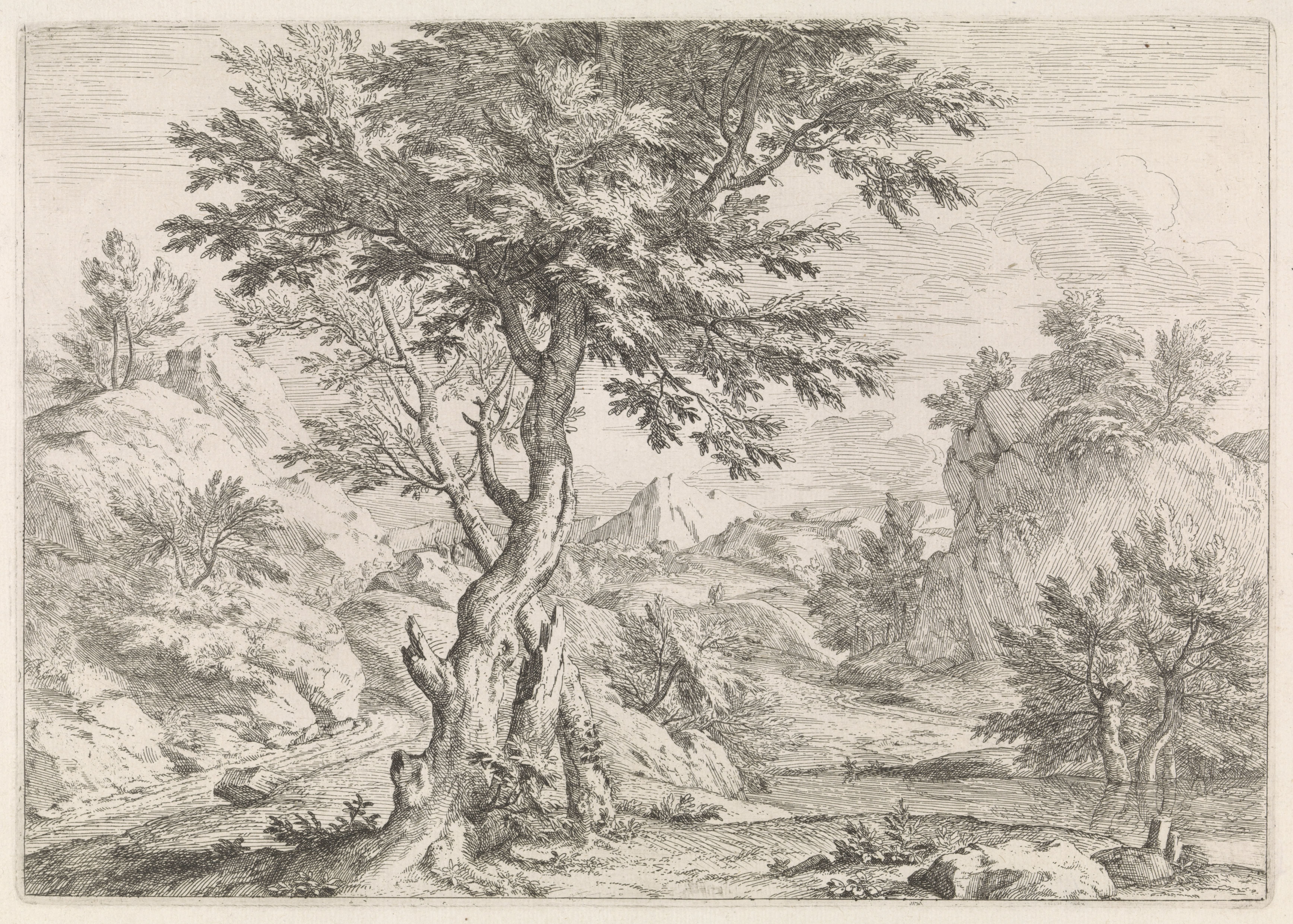 Heuvelachtig landschap met rotsen
