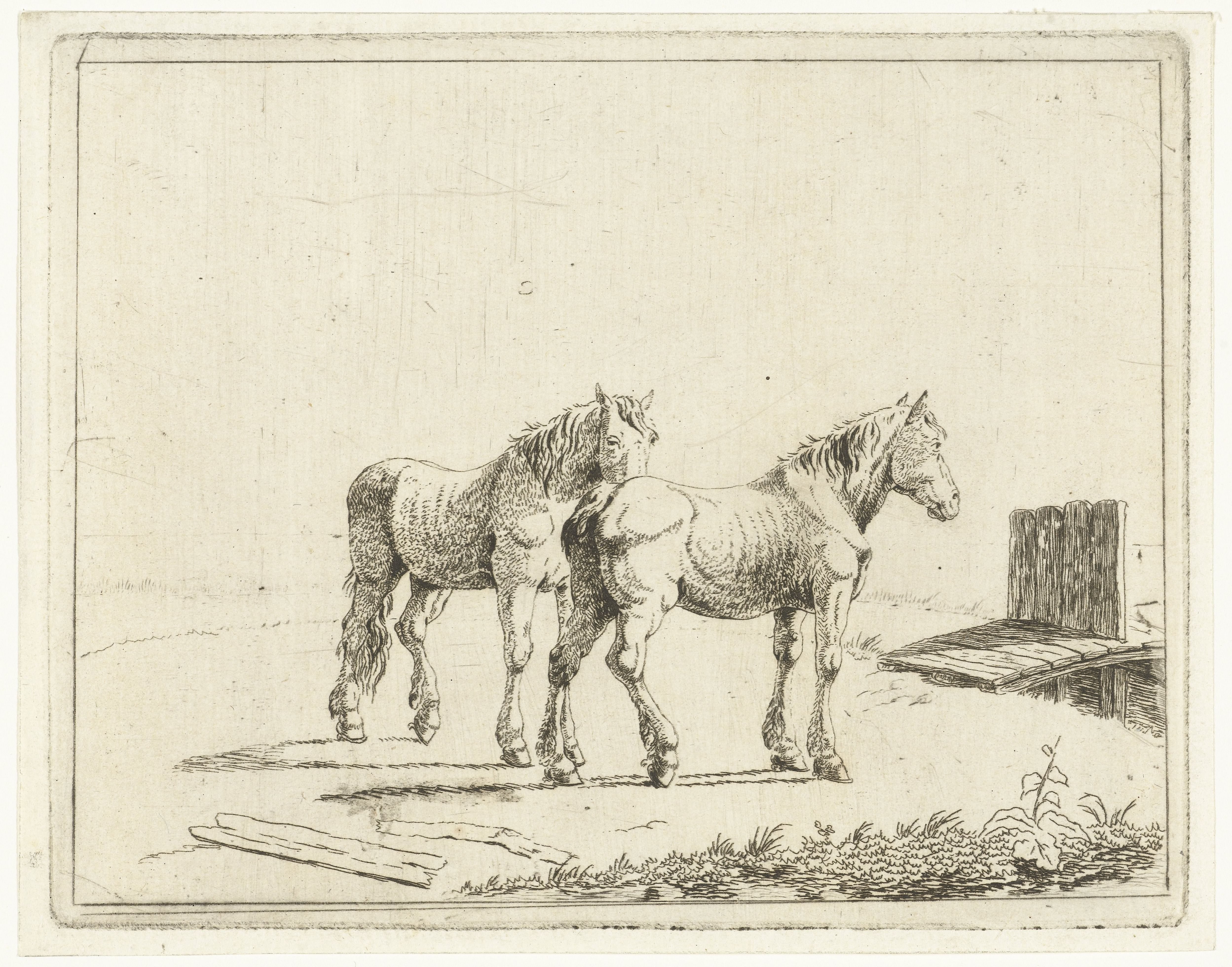 Weidelandschap met twee paarden bij bruggetje