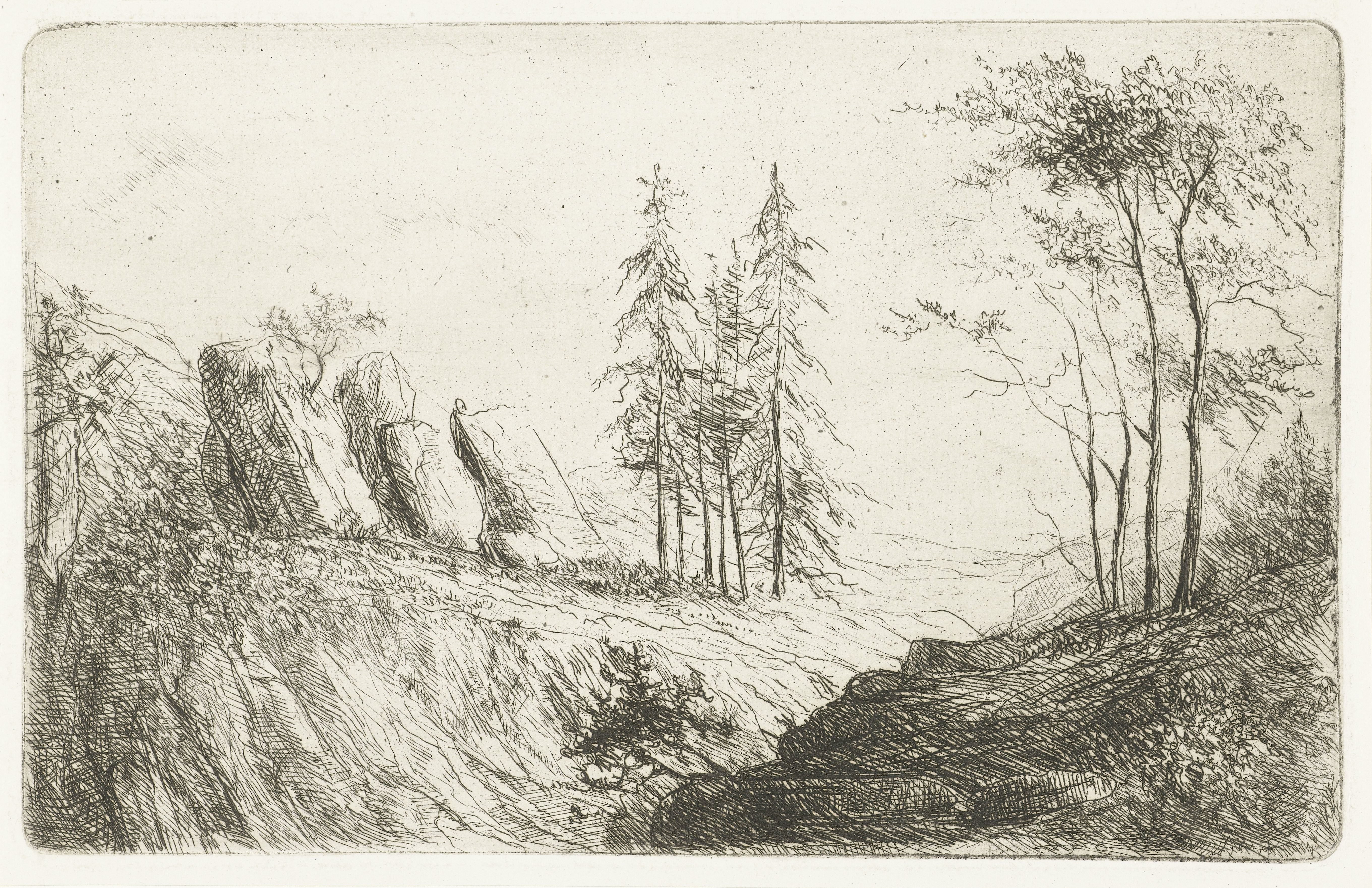 Berglandschap met bomen