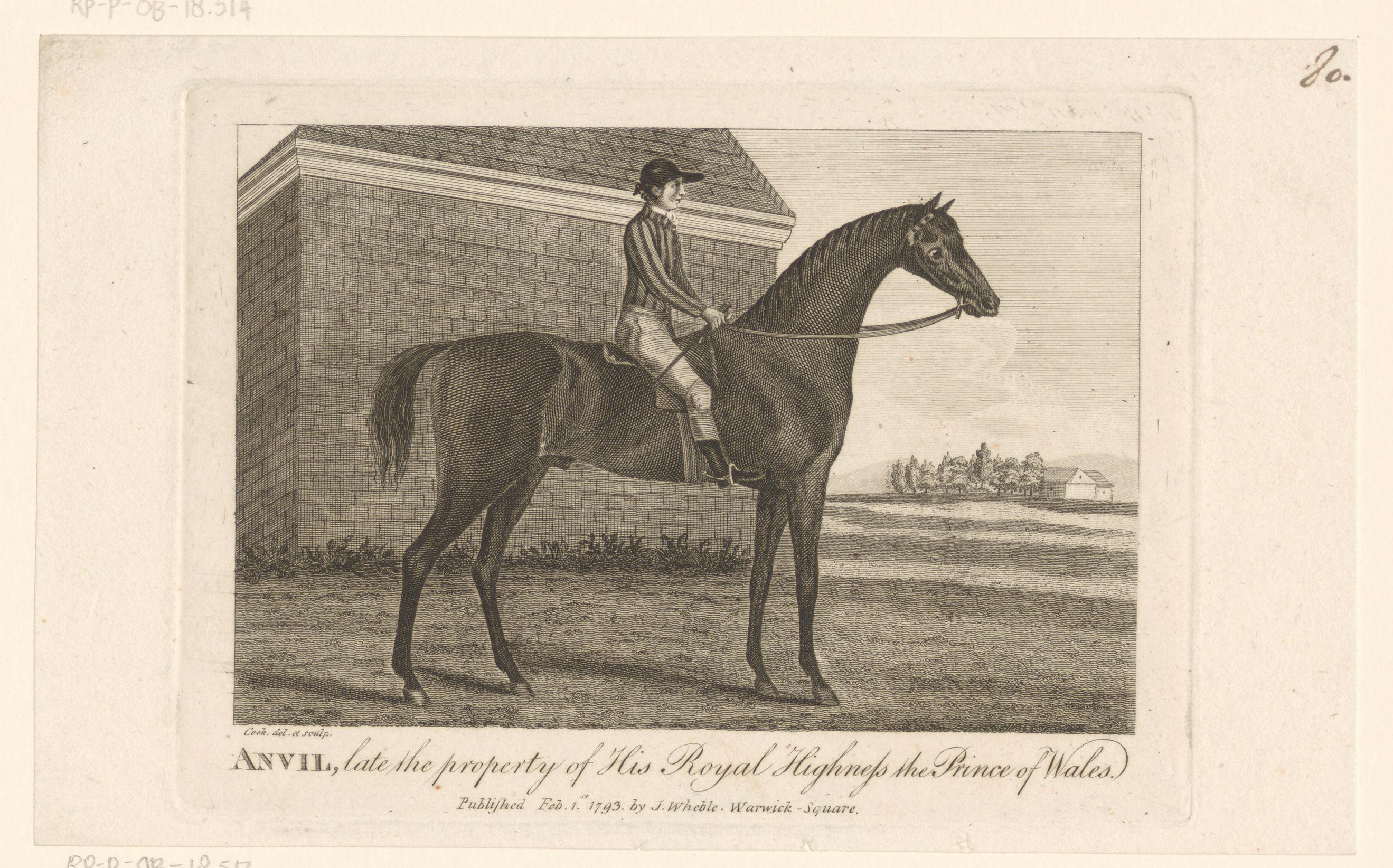 Paard met ruiter