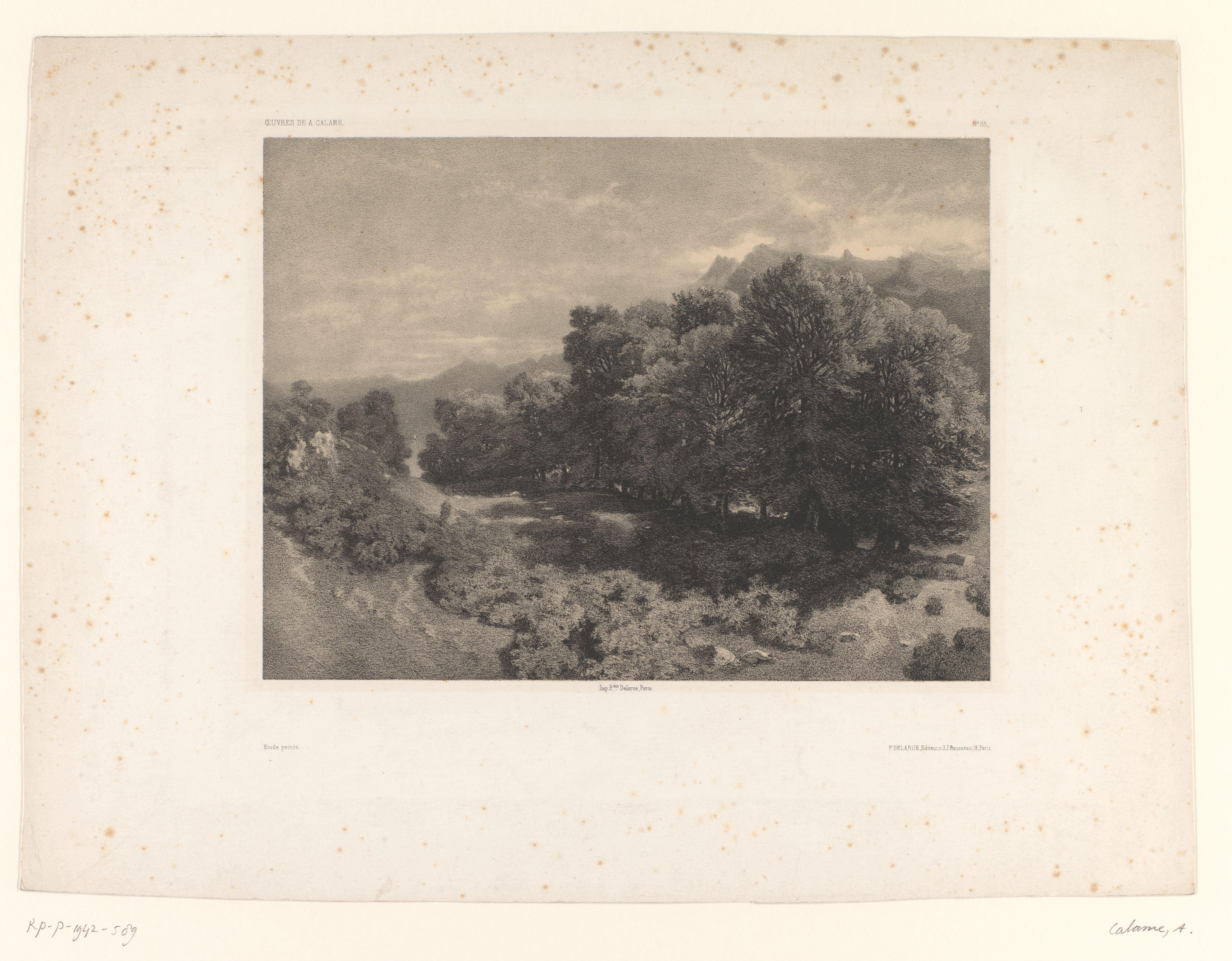 Berglandschap met bos