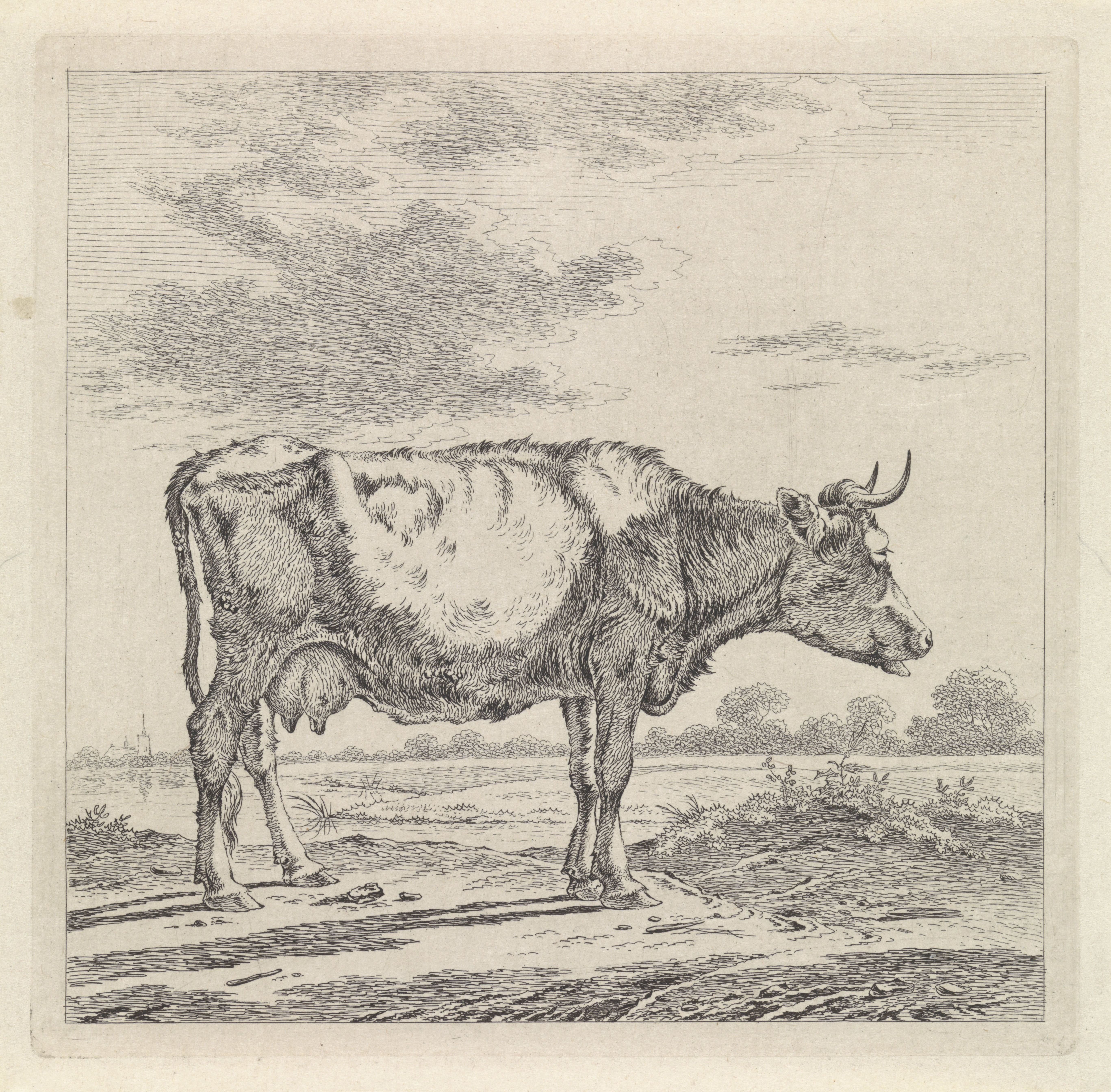 Landschap met koe aan waterkant