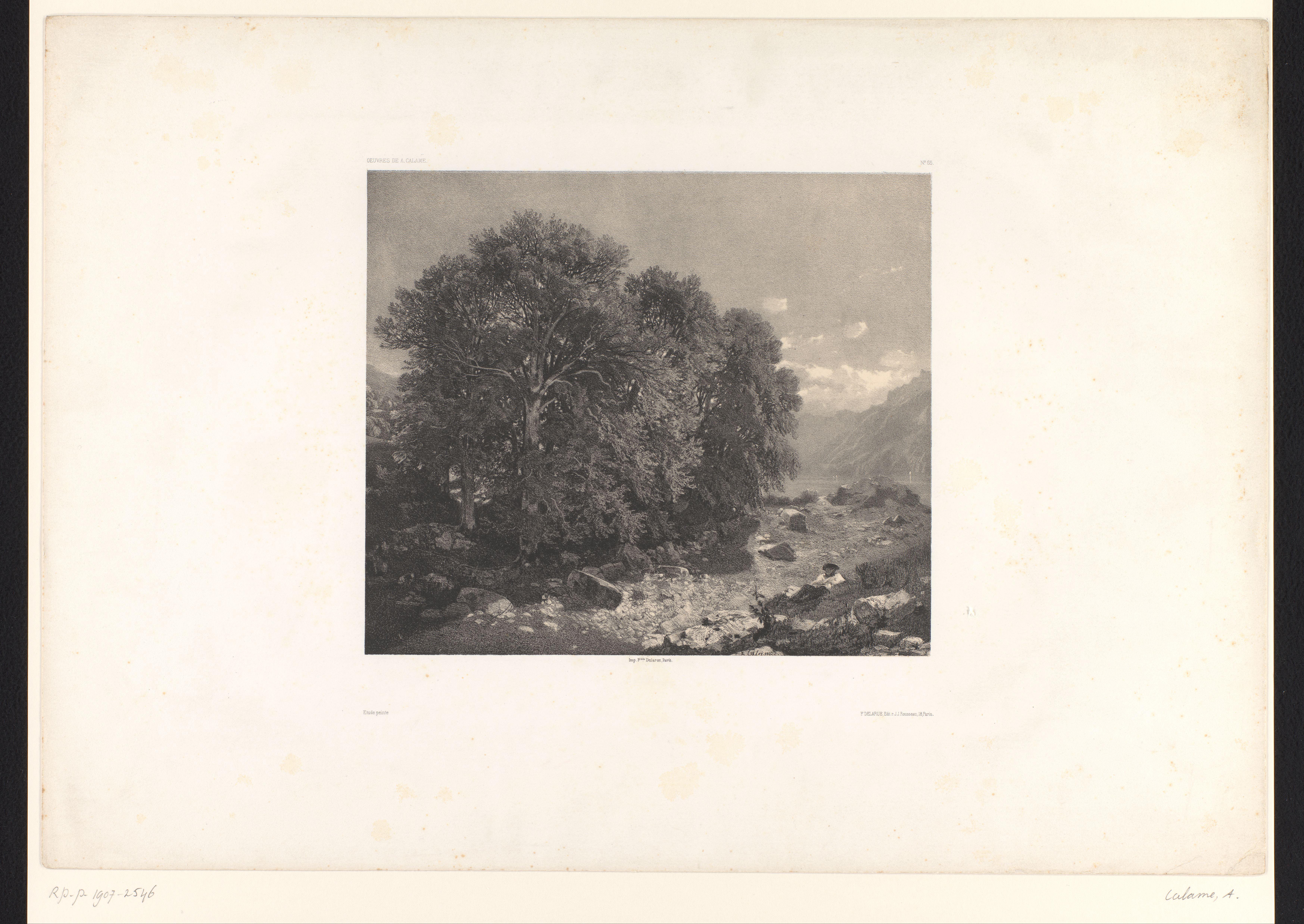 Berglandschap met bomen en een meer