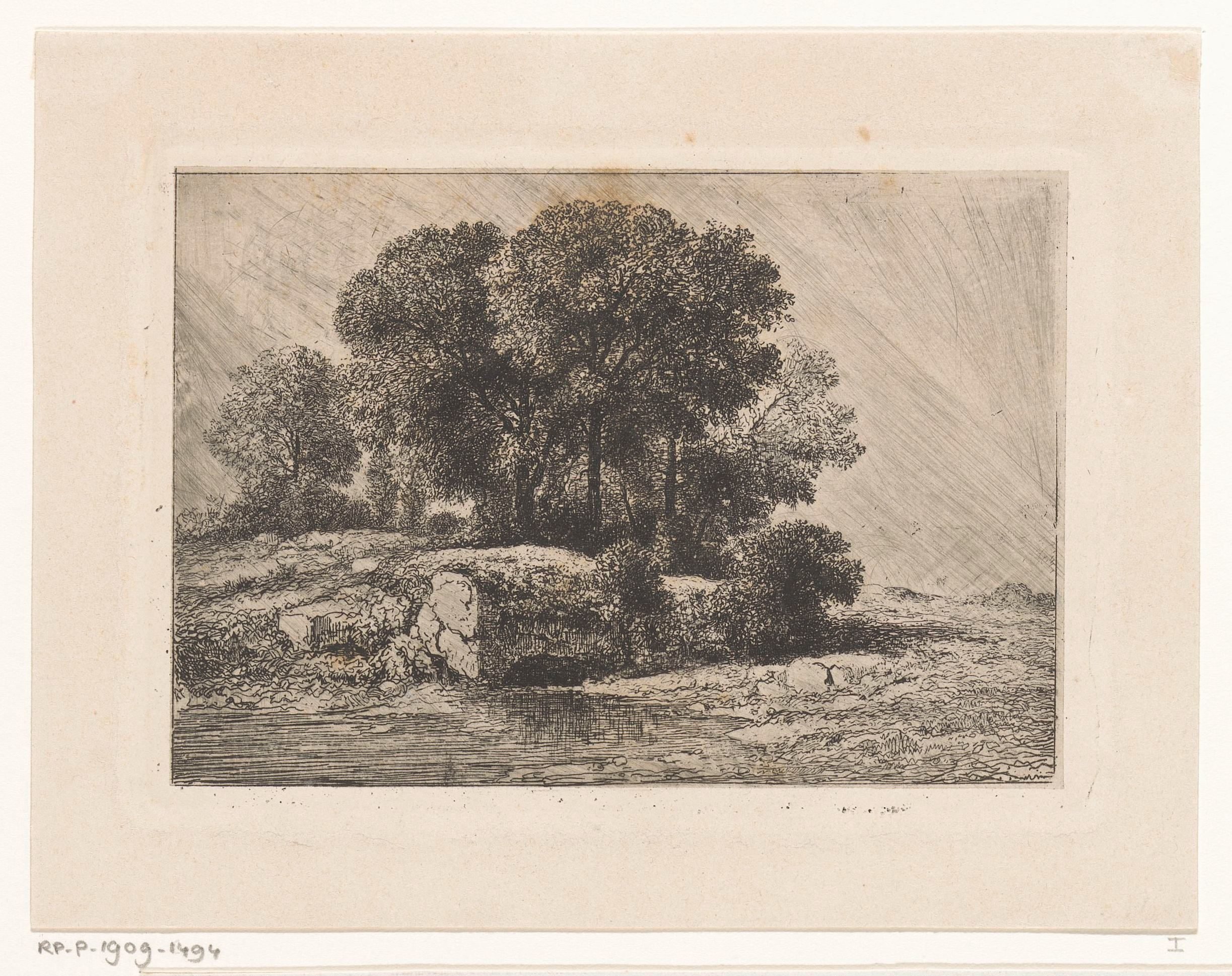 Bomen bij een poel