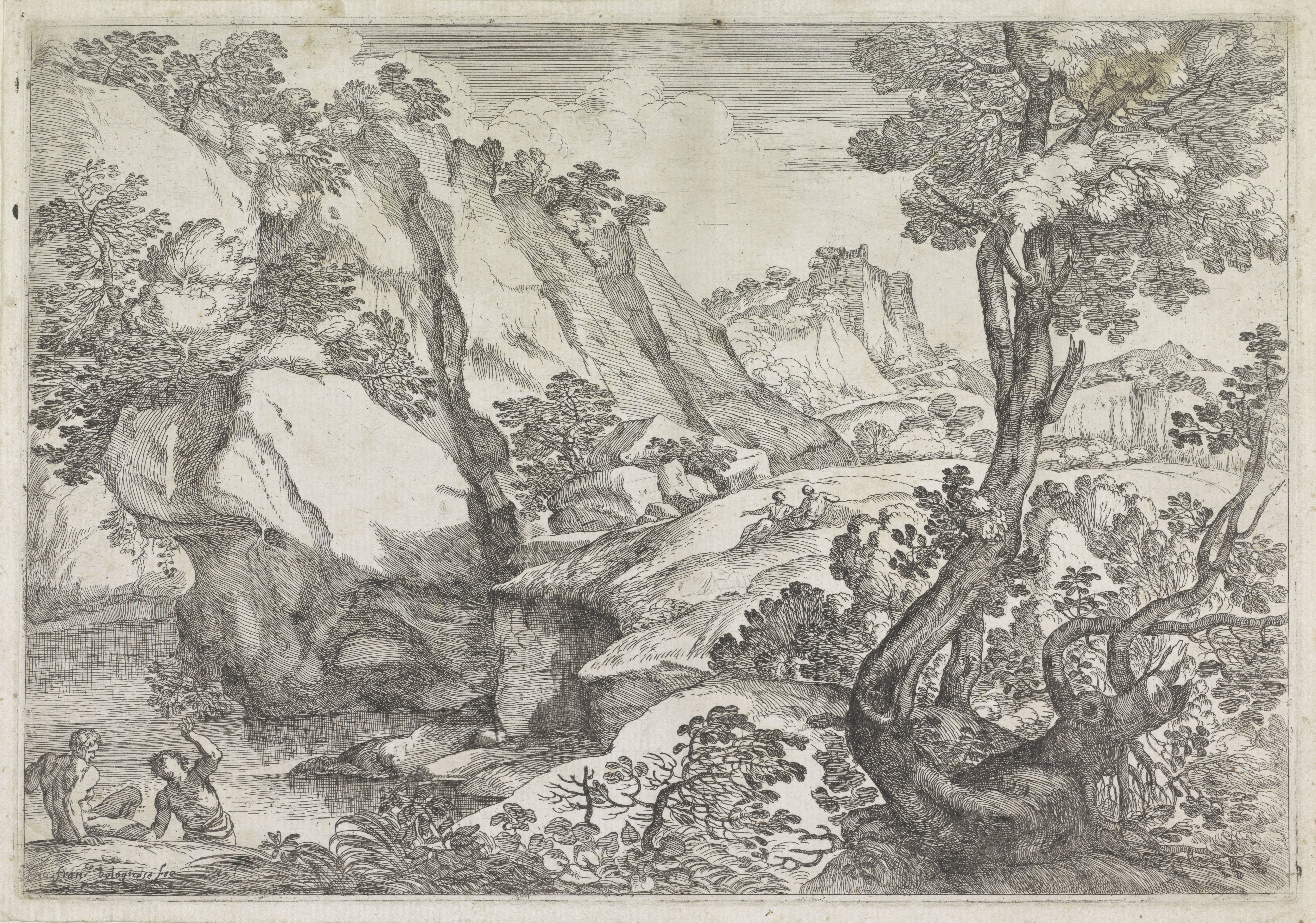 Landschap met vergroeide boom