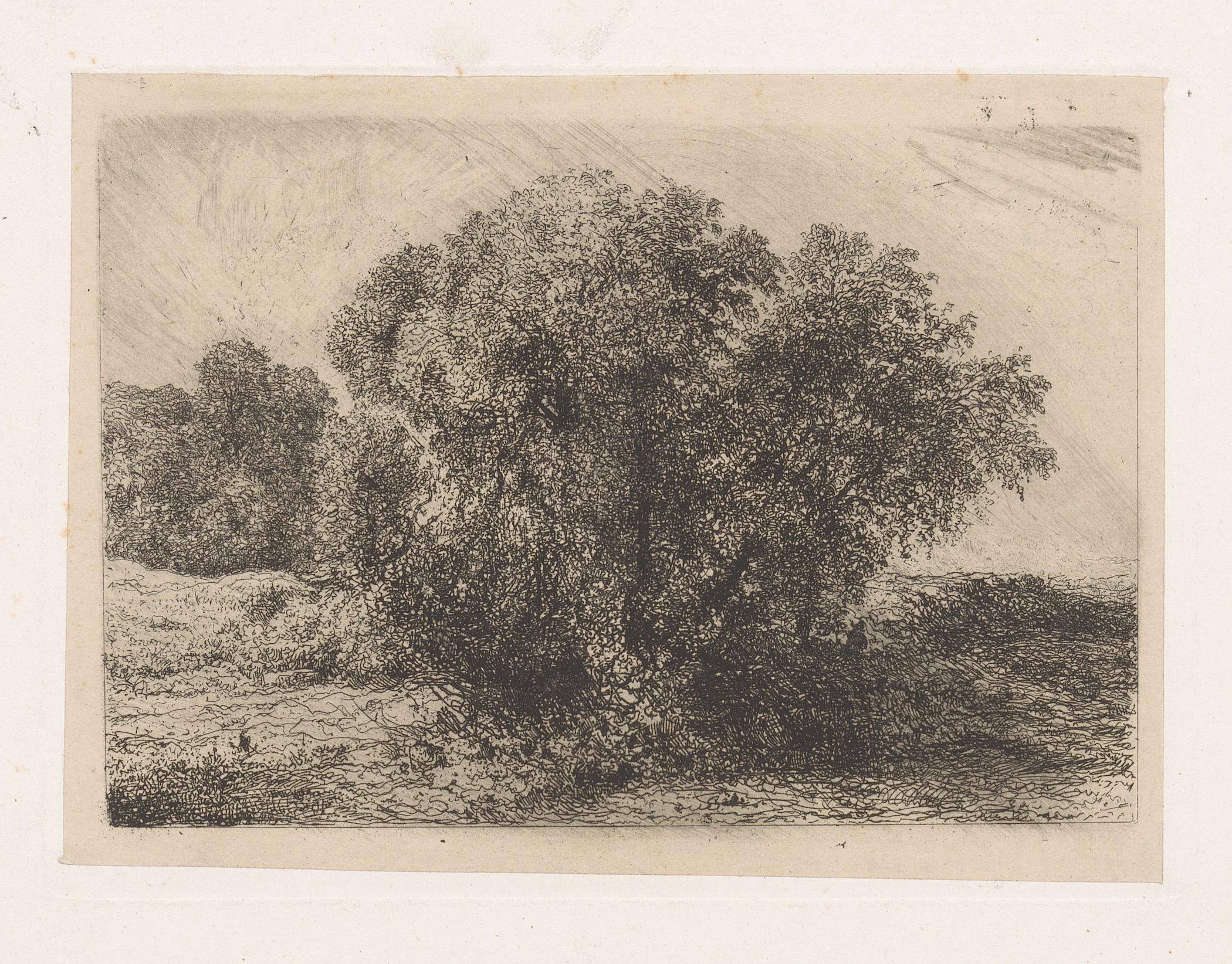 Groep bomen met een figuur