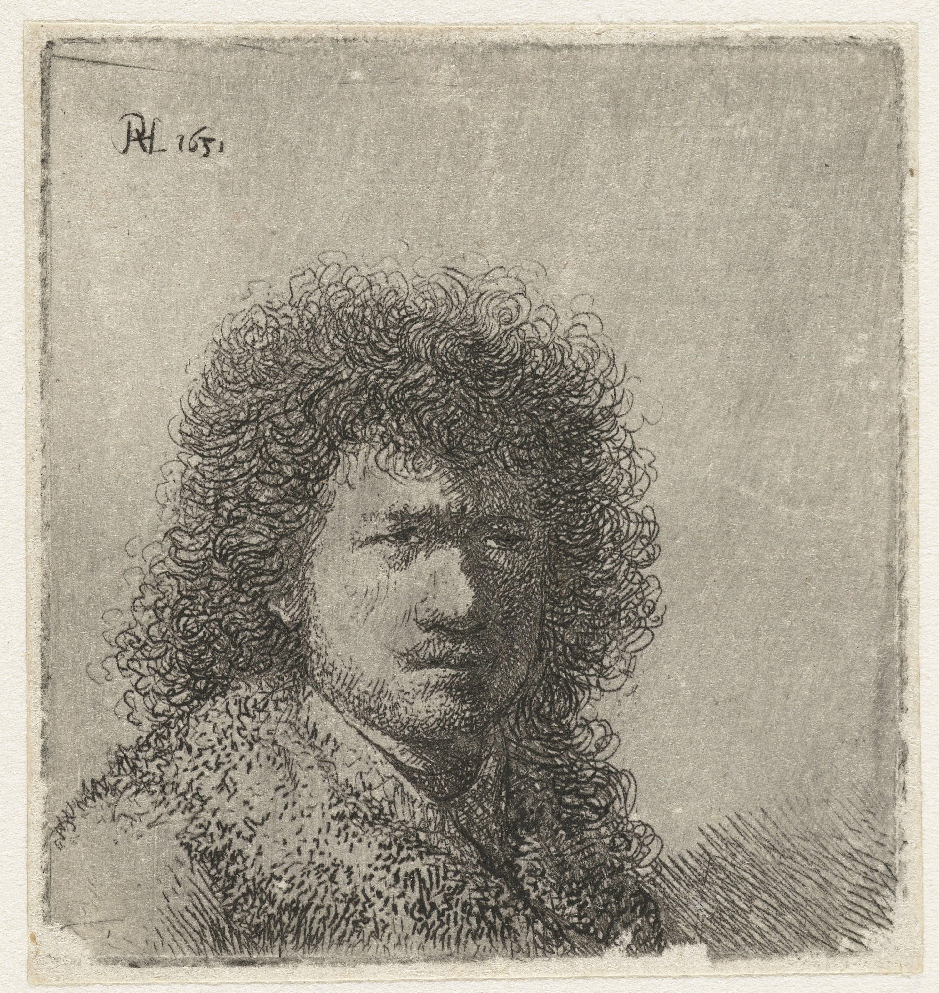 Self-portrait with bushy hair: bust