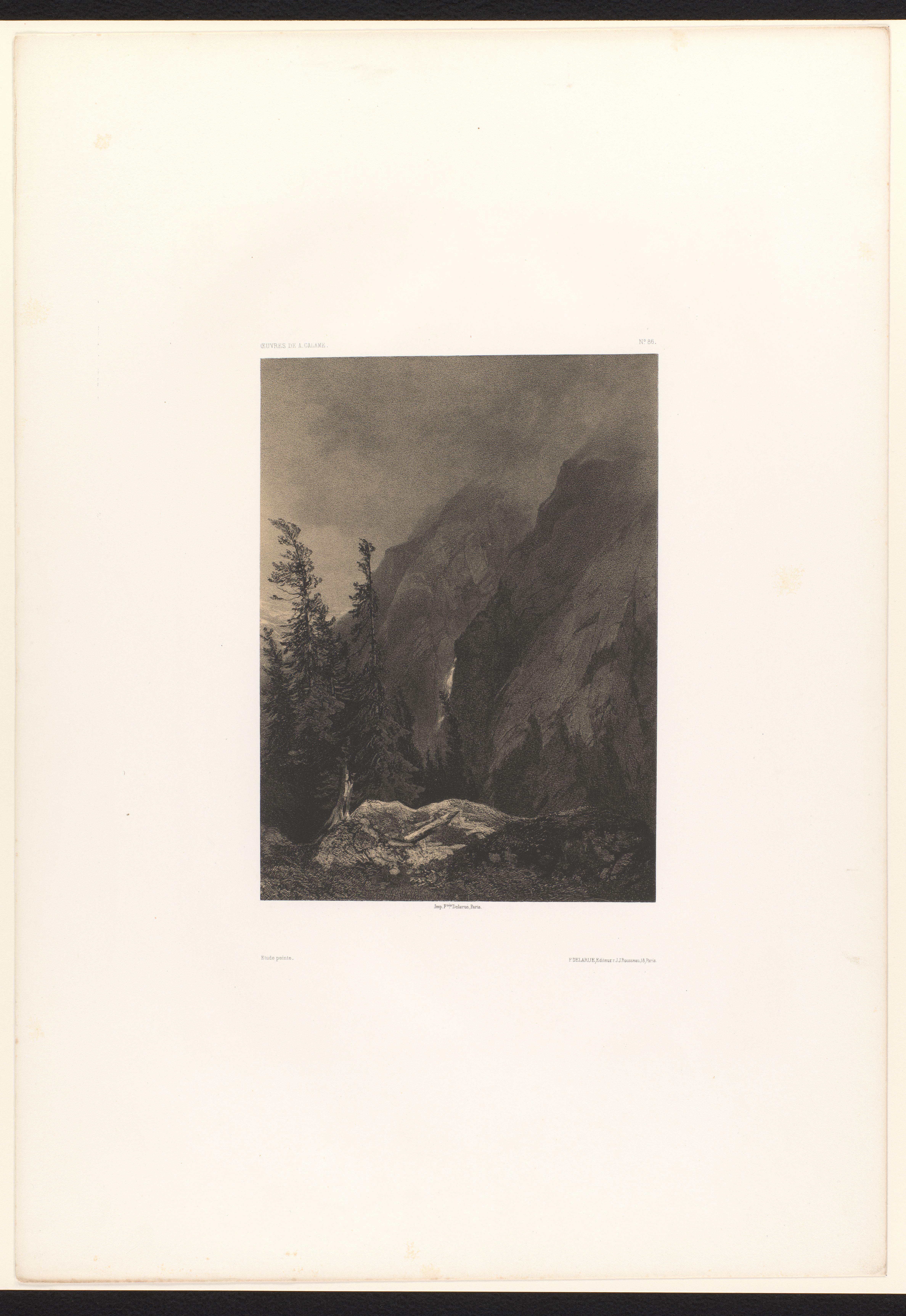 Berglandschap met bomen en waterval