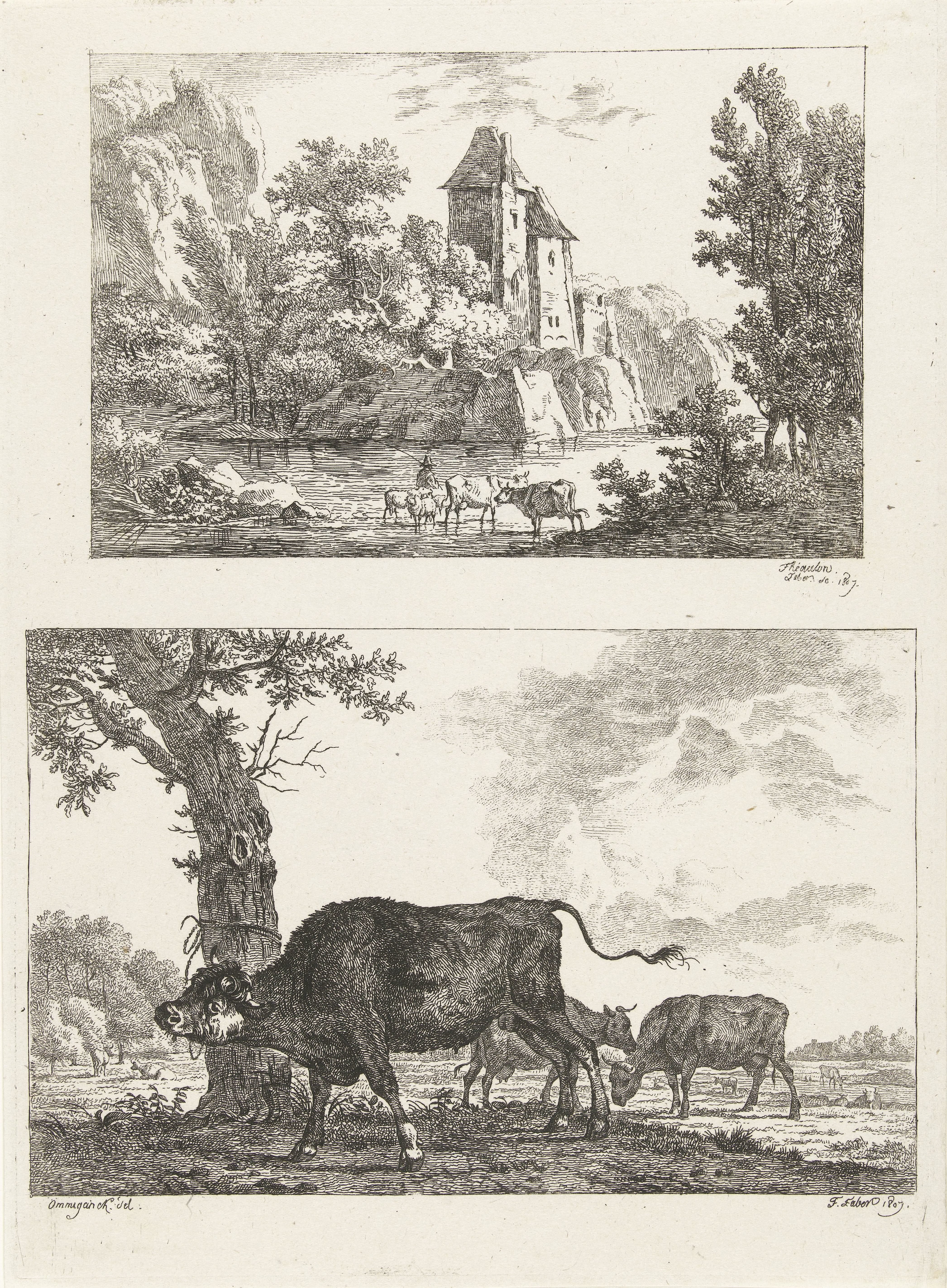 Landschap en stier
