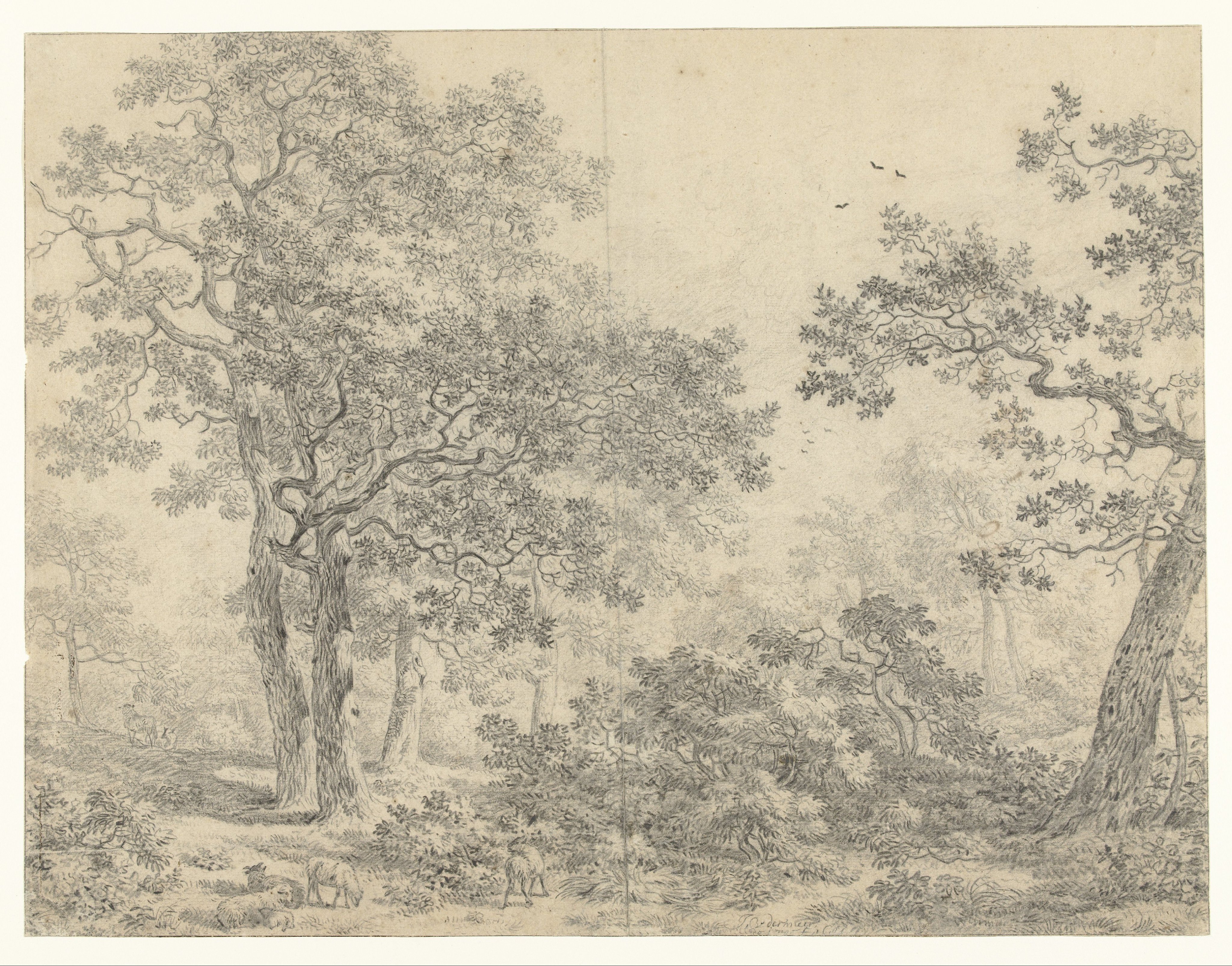 Wooded Landscape with Sheep