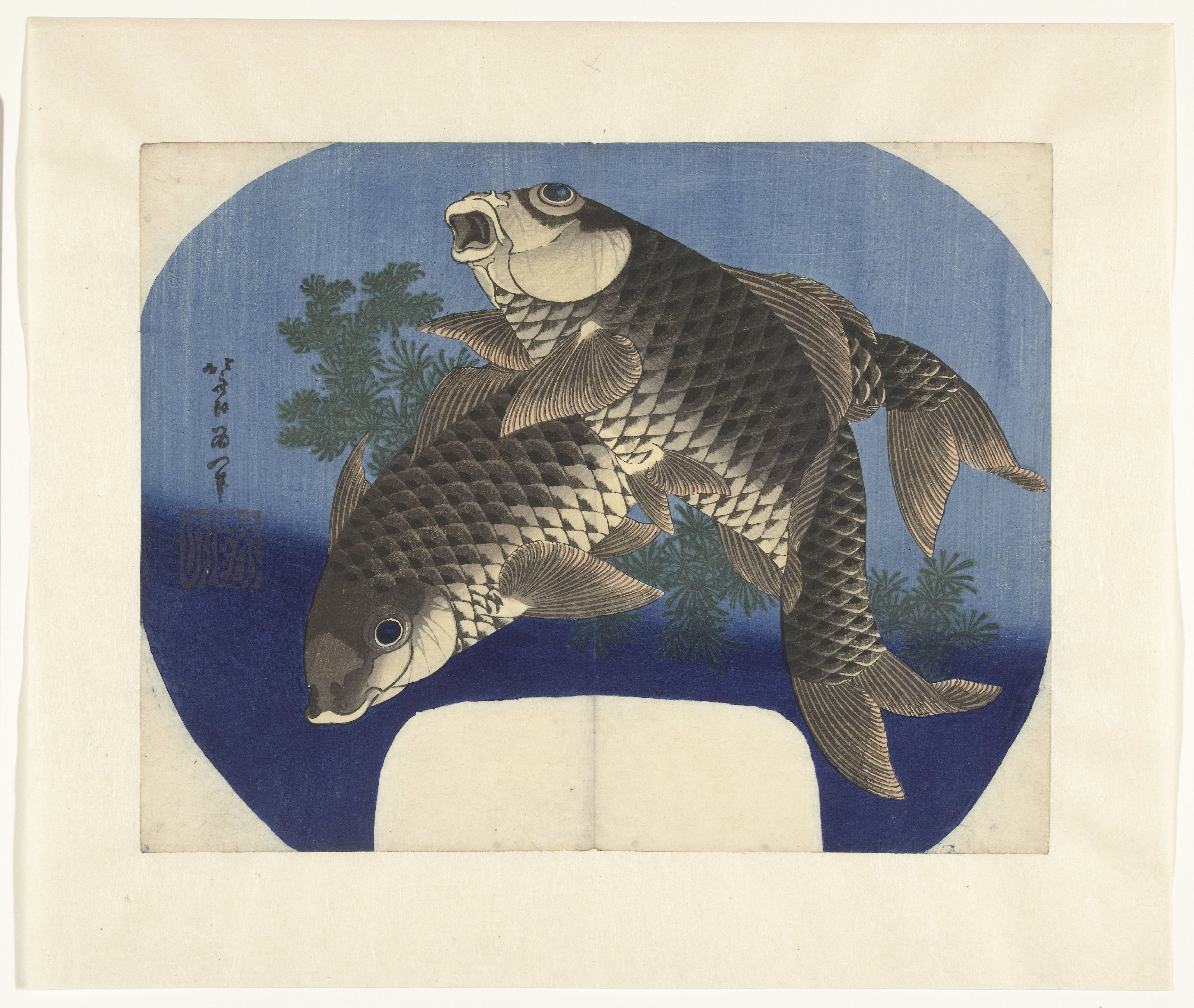 Two Carp