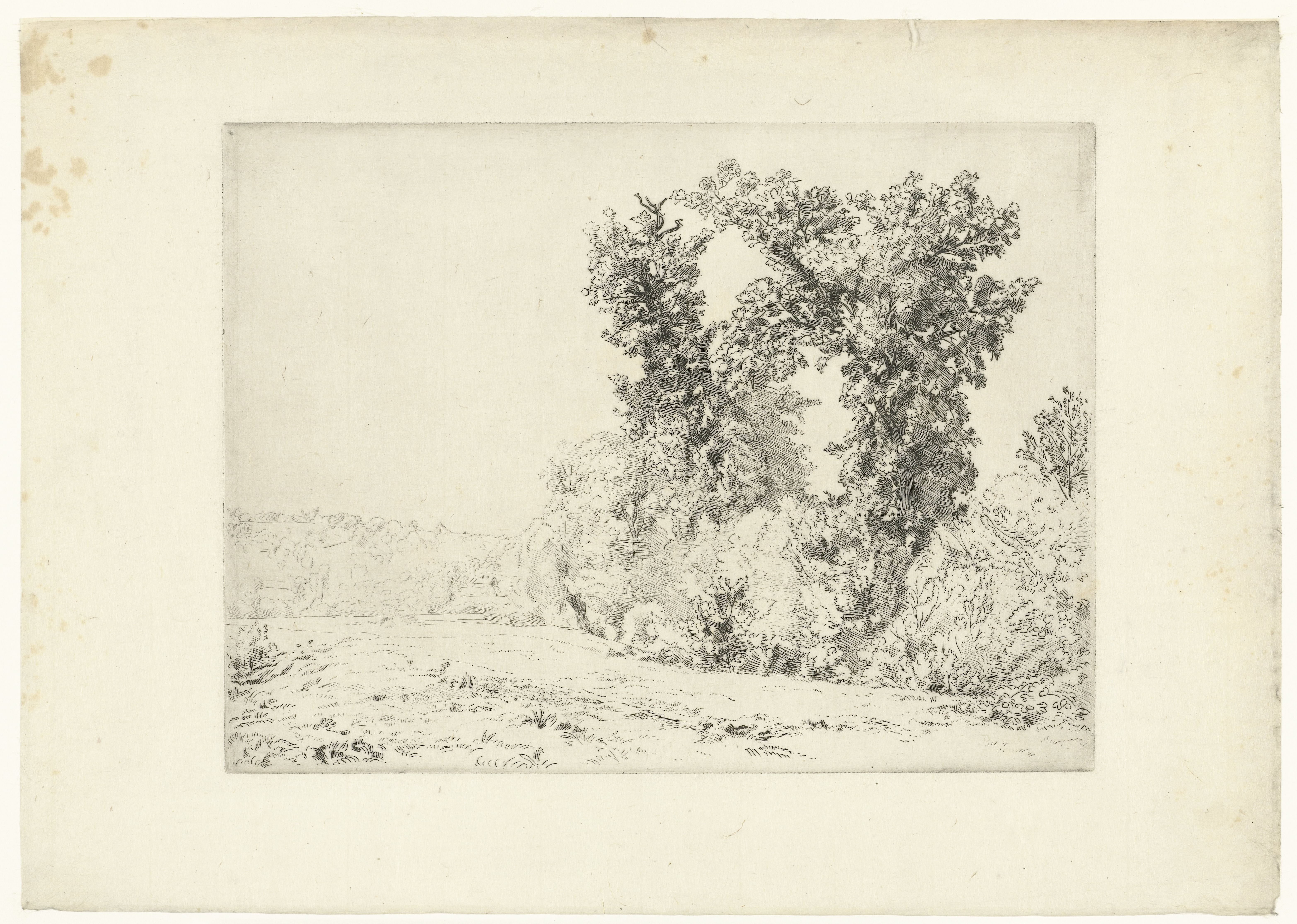 Landschap