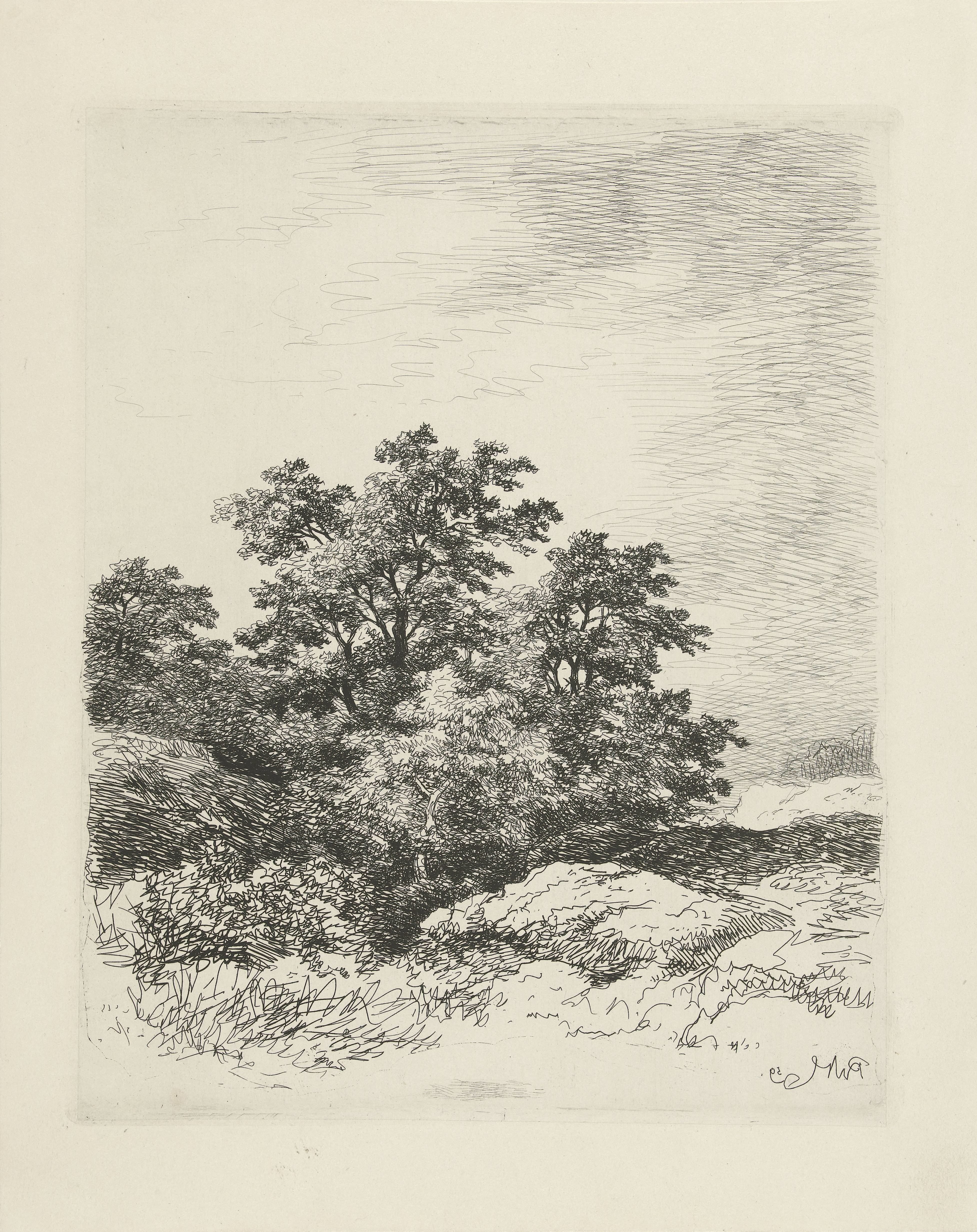 Landschap met bomen