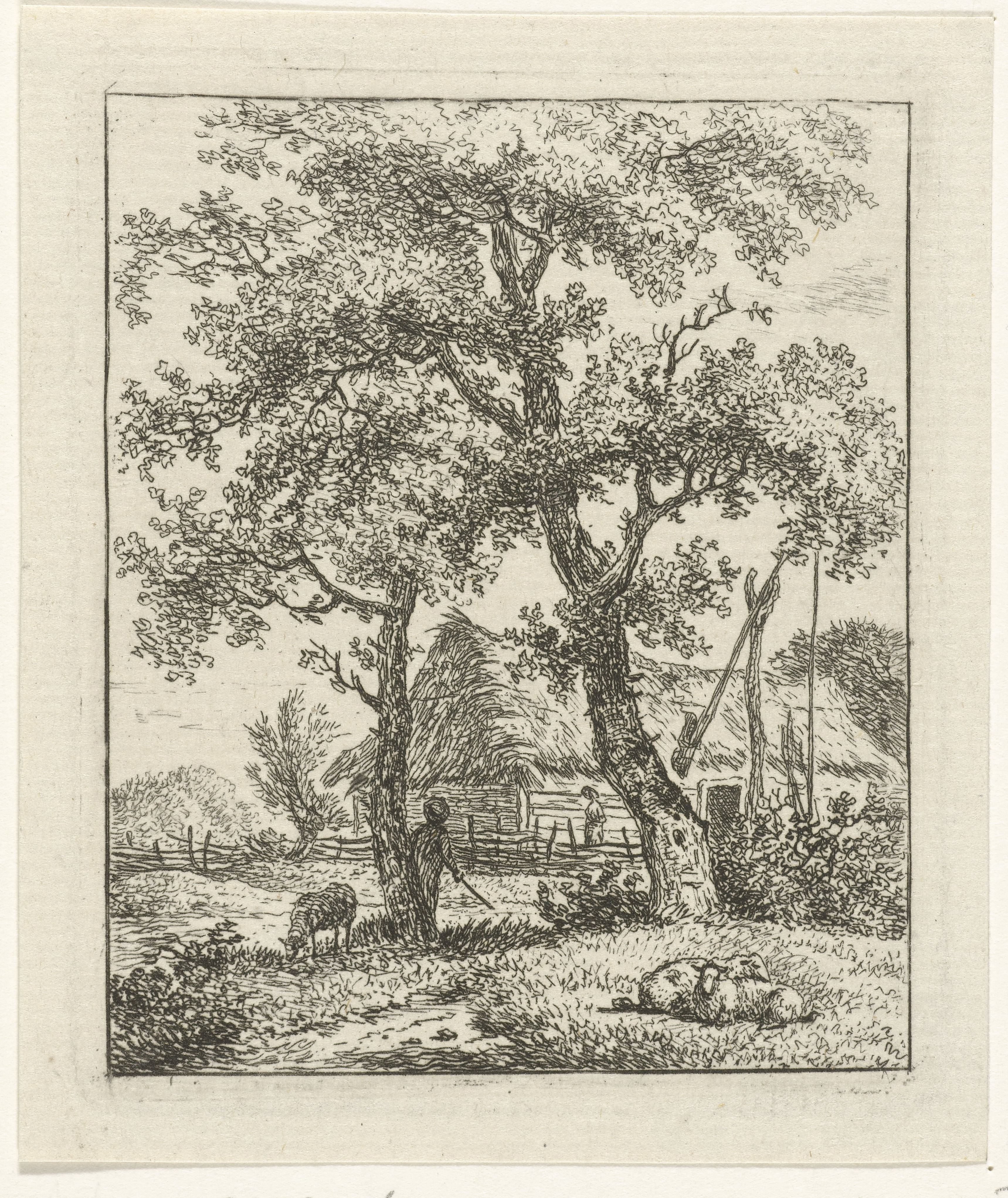 Boerderij en schaapsherder