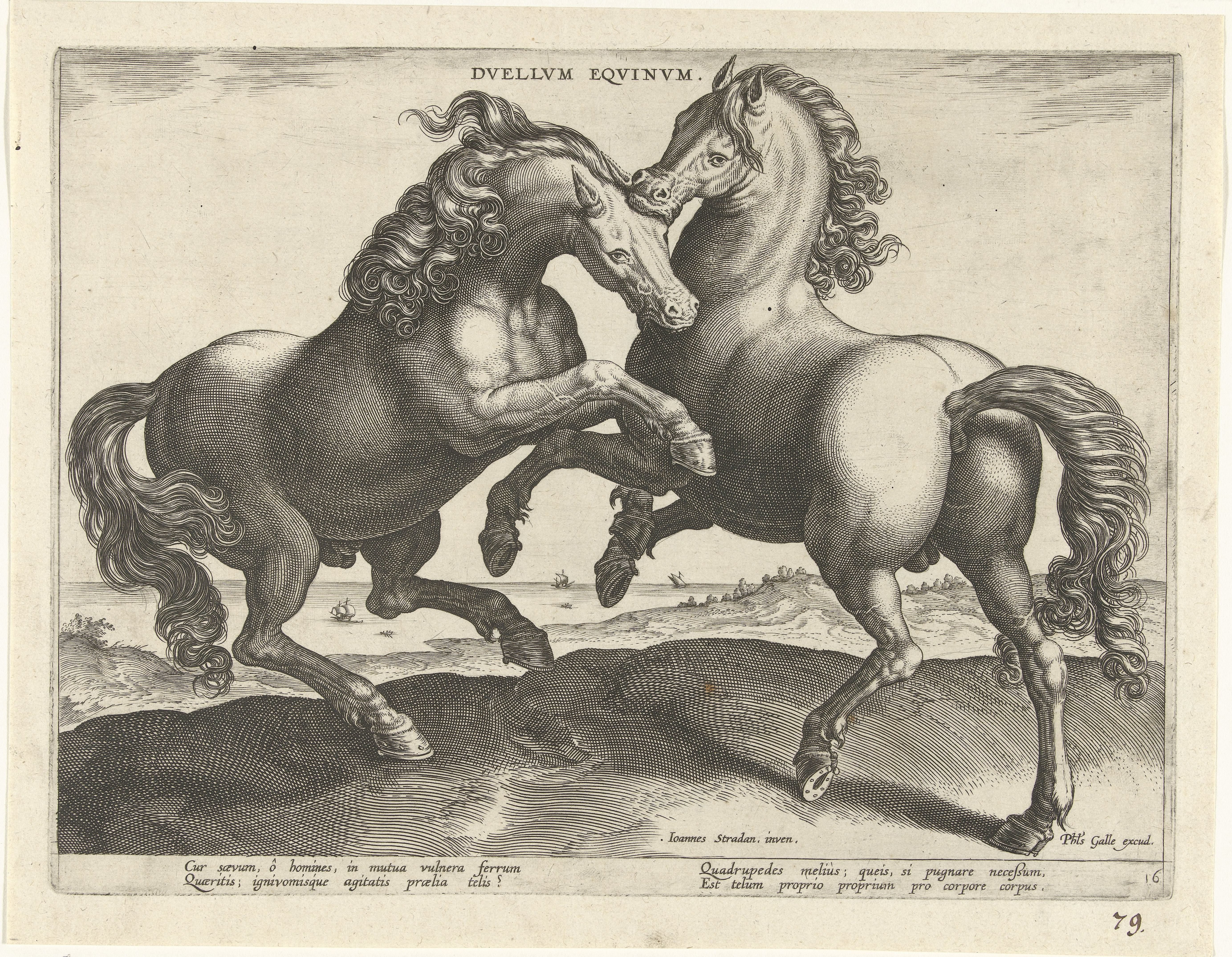 Vechtende paarden